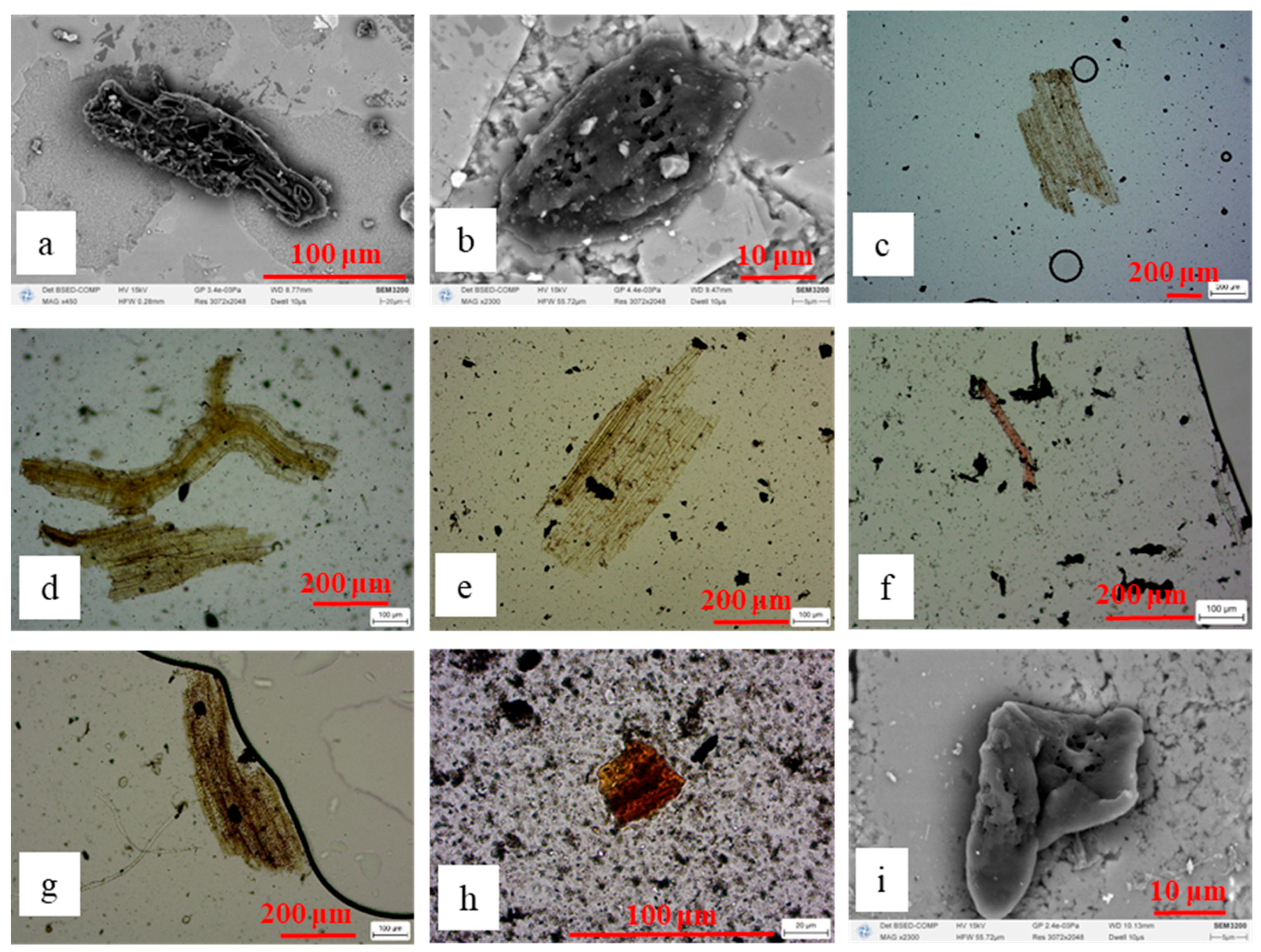 Processes 13 02673 g005