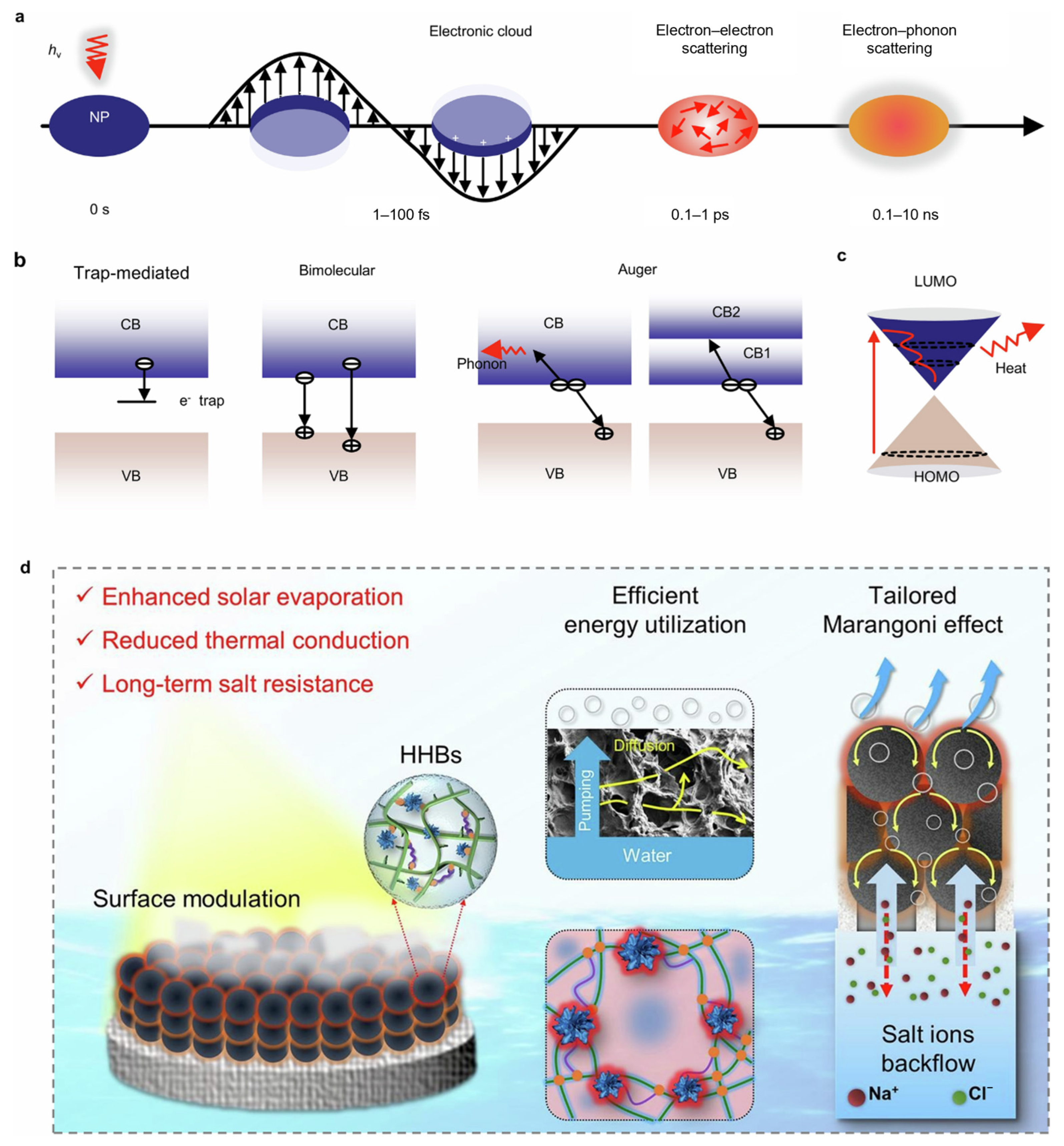 Processes 13 02679 g004 Processes 13 02679 g004