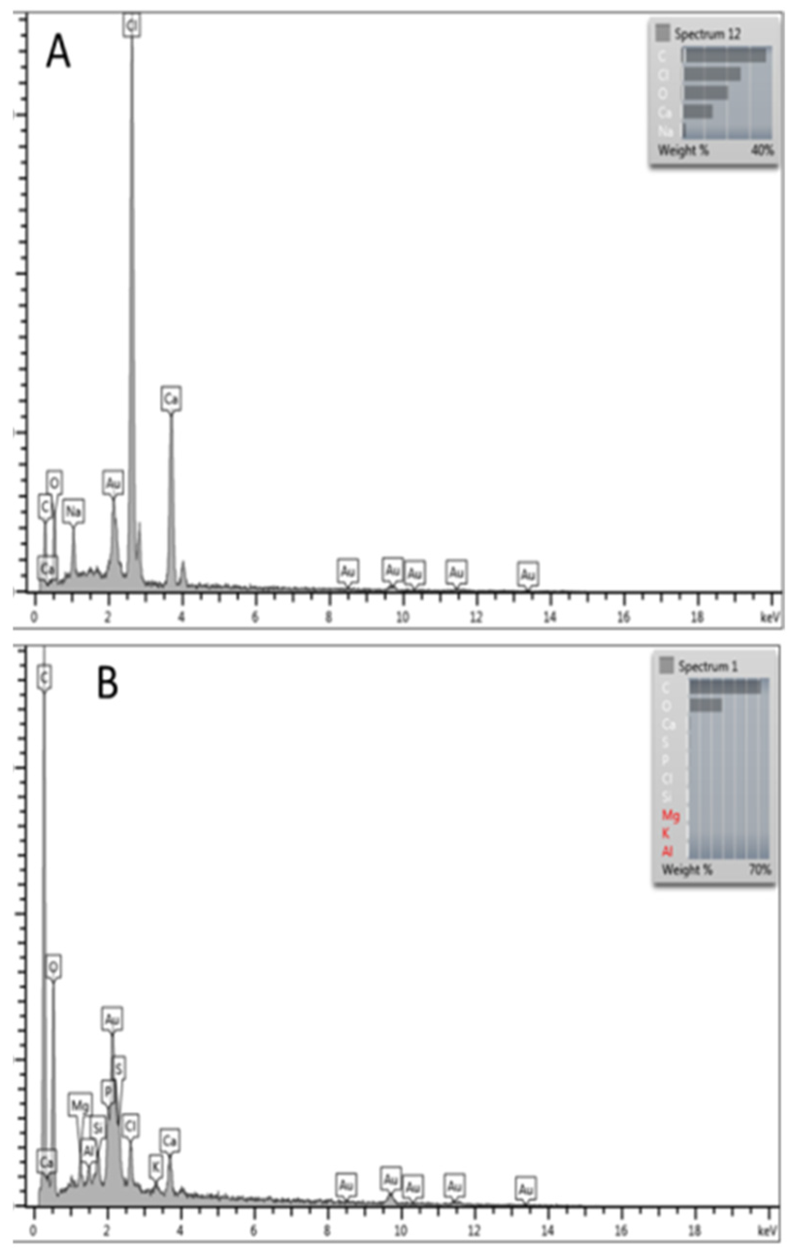 Processes 13 02689 g004