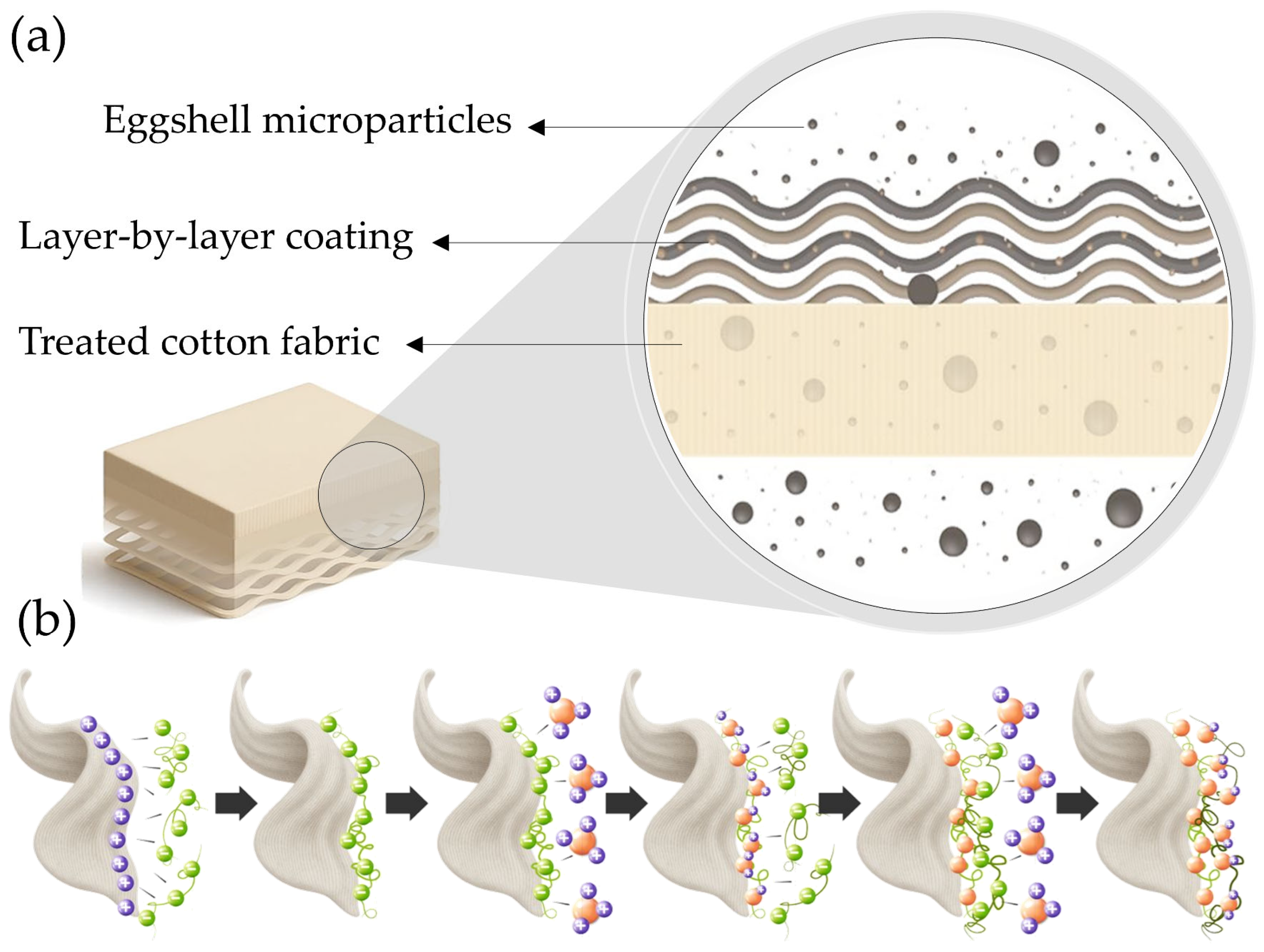 Processes 13 02690 g001