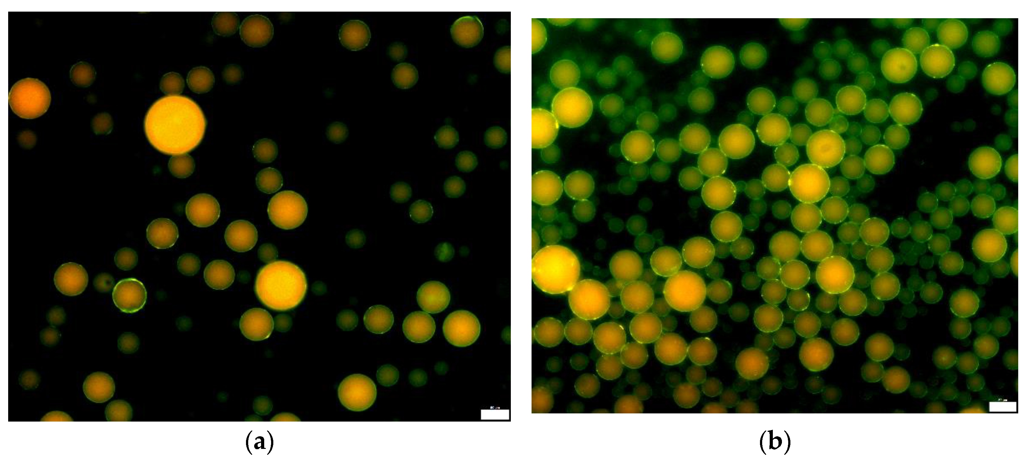 Processes 13 02705 g004