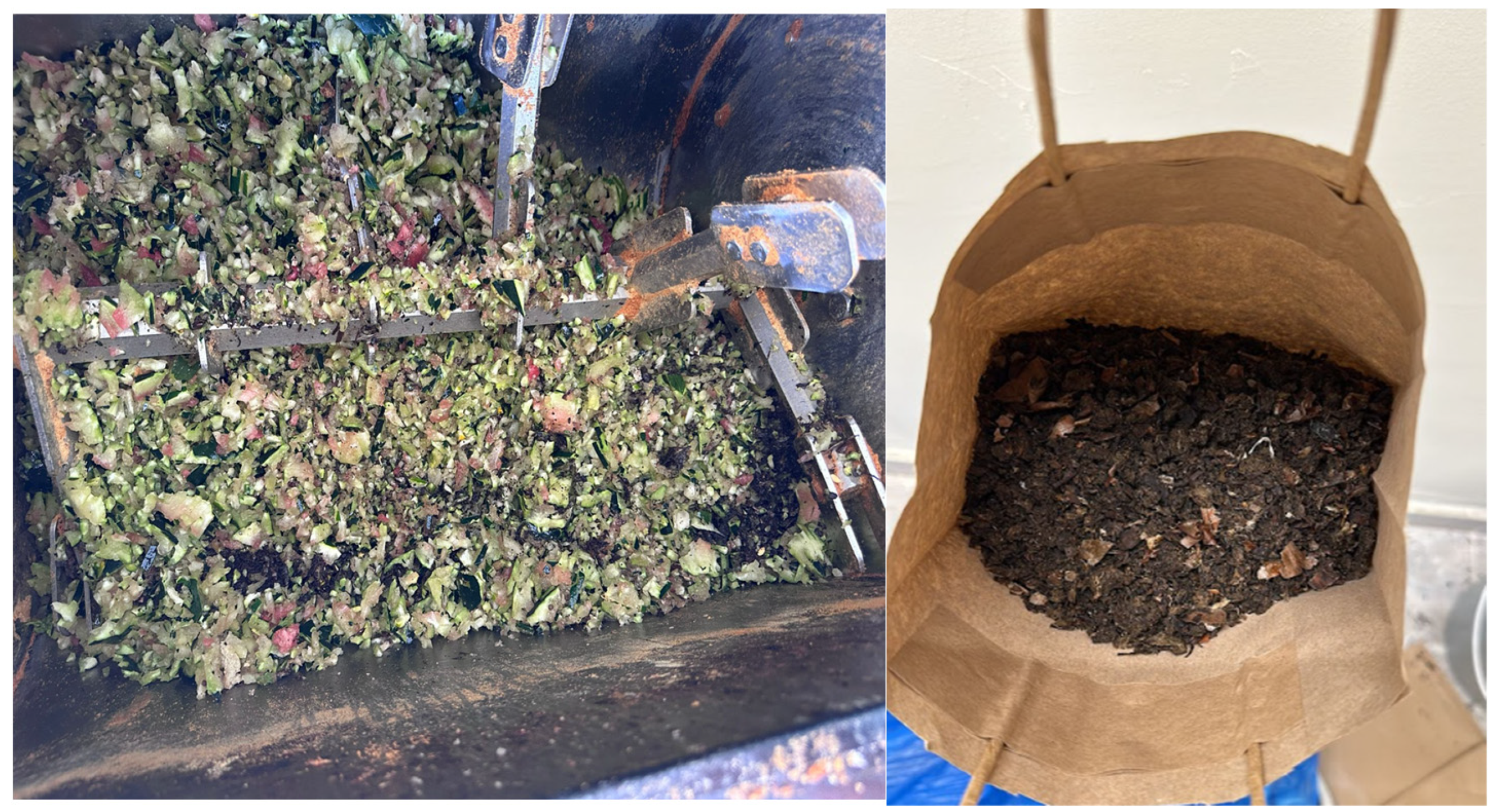 Processes 13 02719 g004 Processes 13 02719 g004