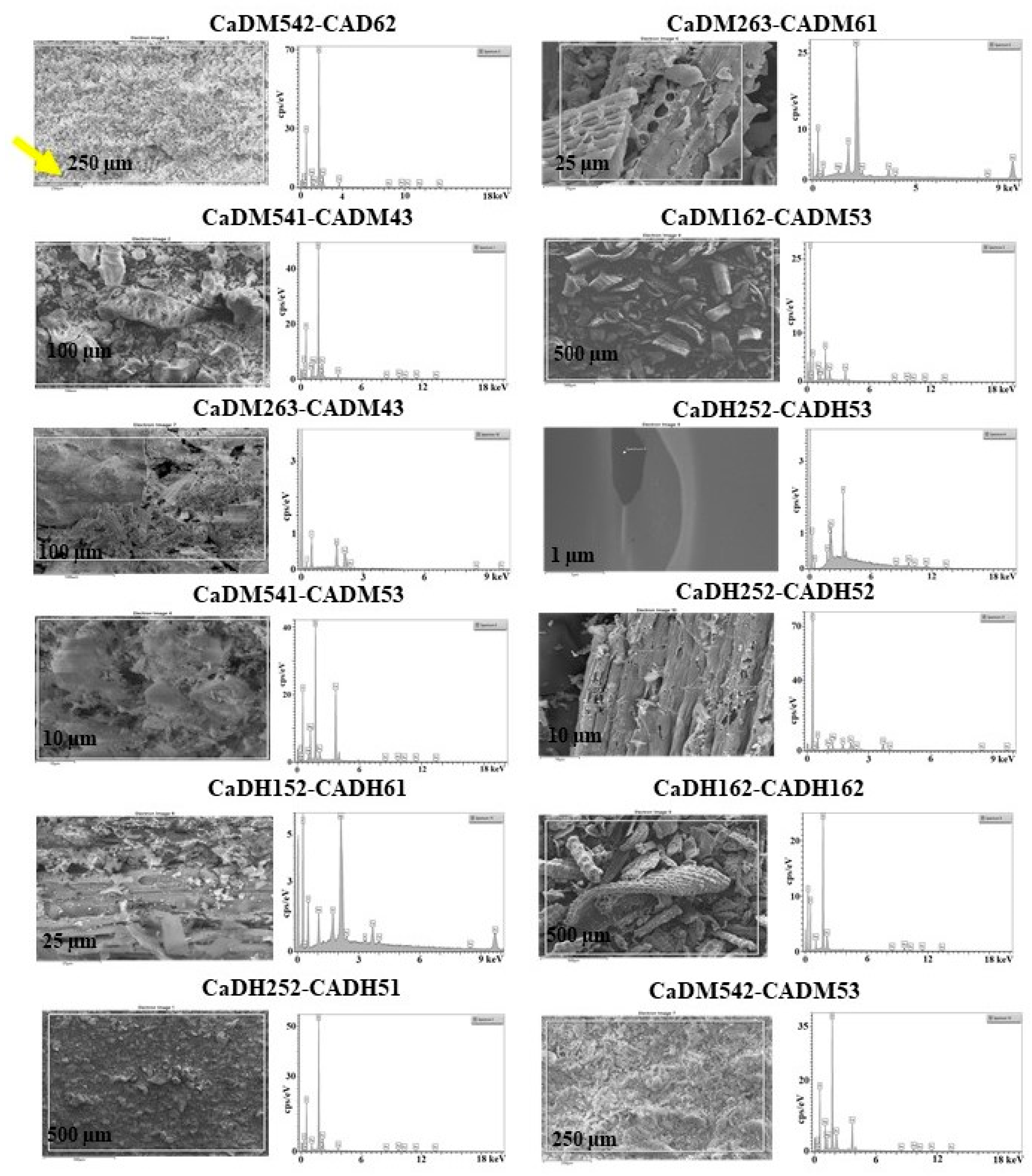 Processes 13 02748 g003
