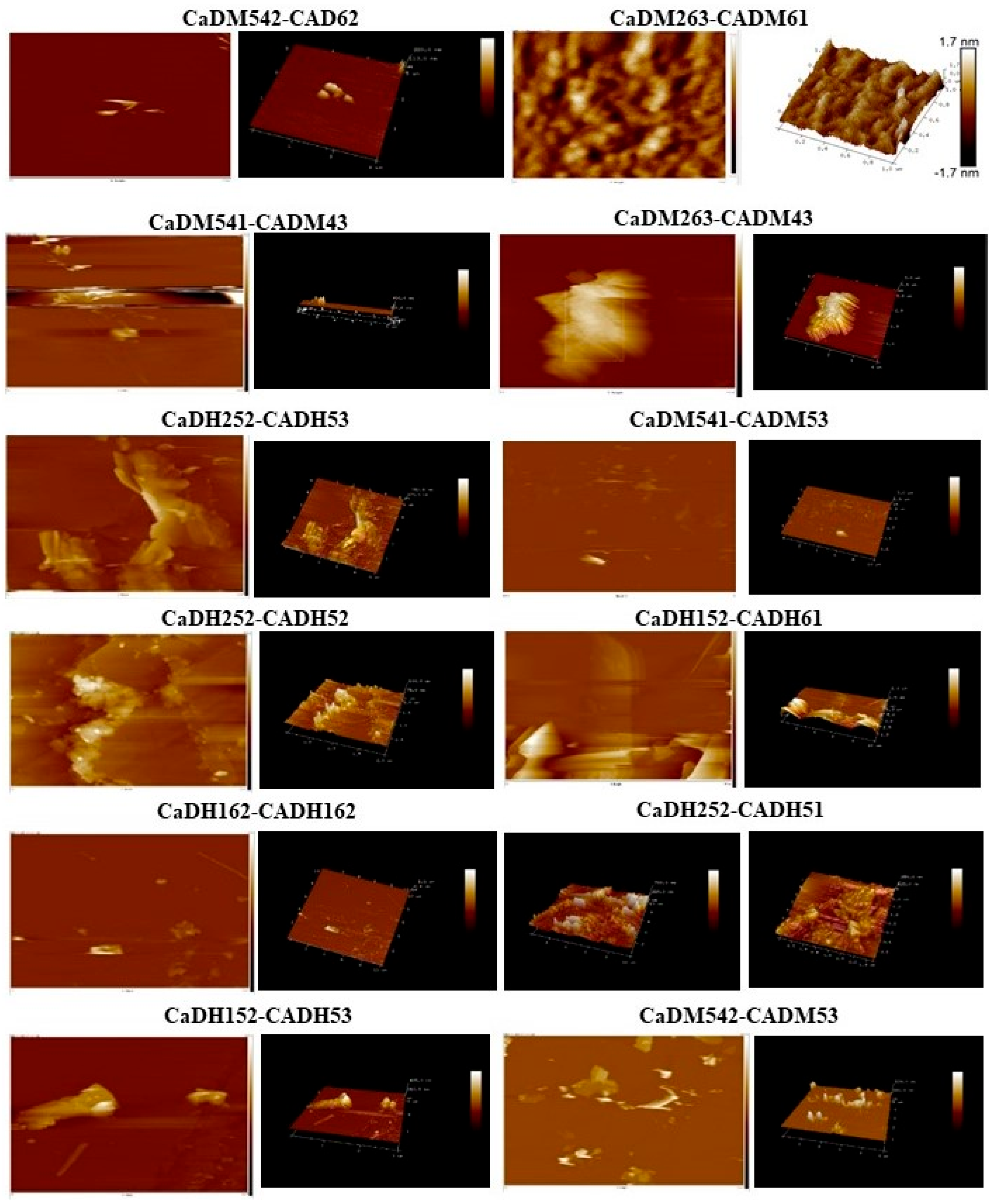 Processes 13 02748 g004