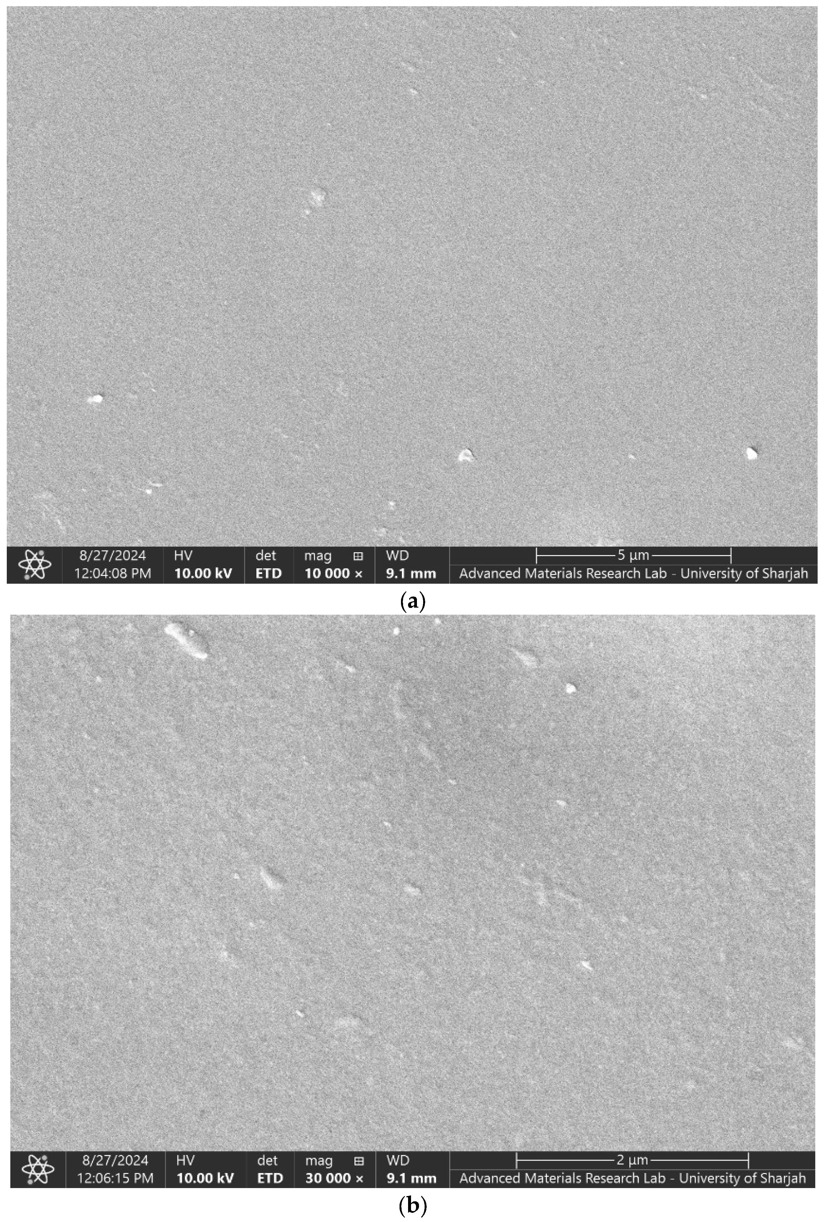 Processes 13 02753 g003a Processes 13 02753 g003a