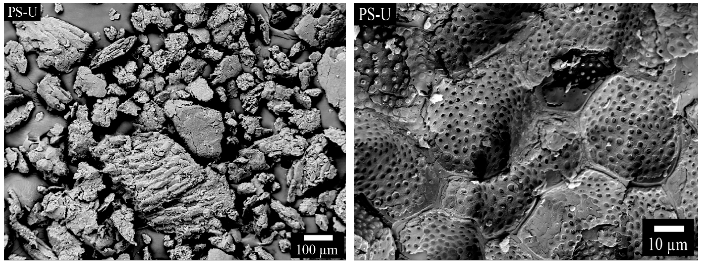 Processes 13 02759 g004 Processes 13 02759 g004