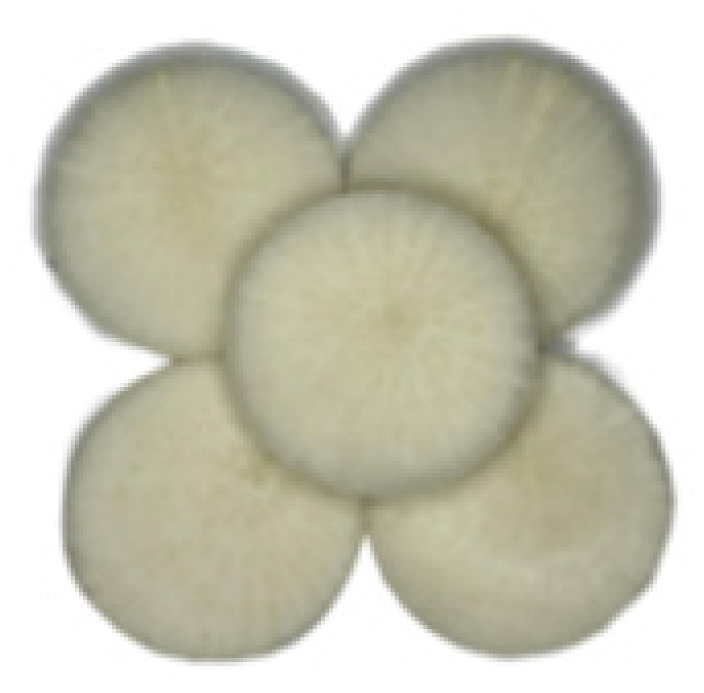 Processes 13 02773 i001