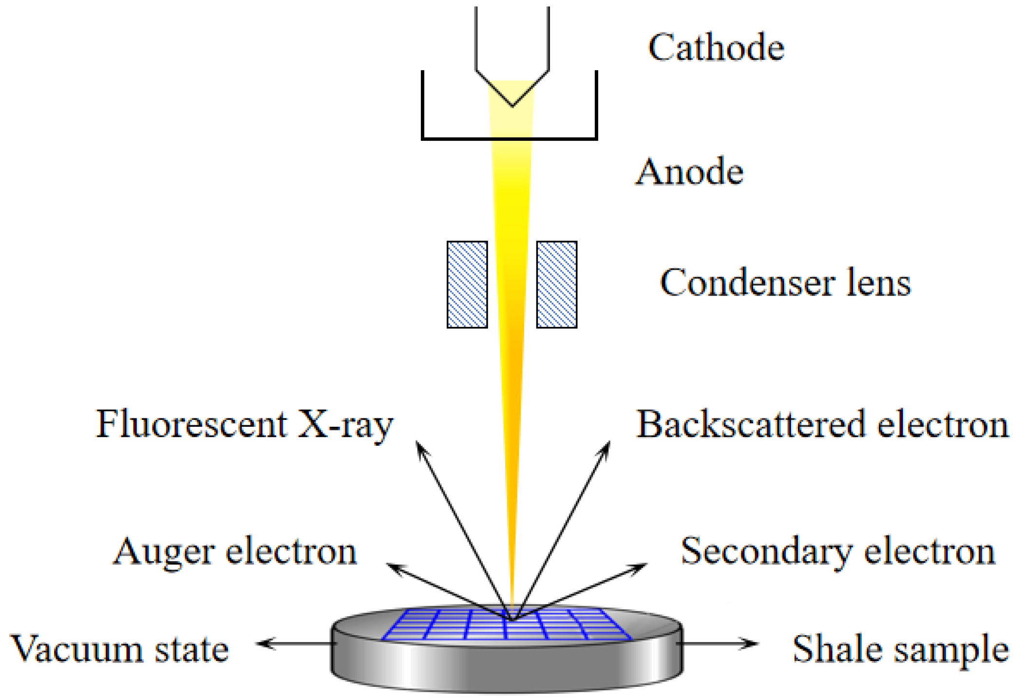 Processes 13 02777 g001 Processes 13 02777 g001