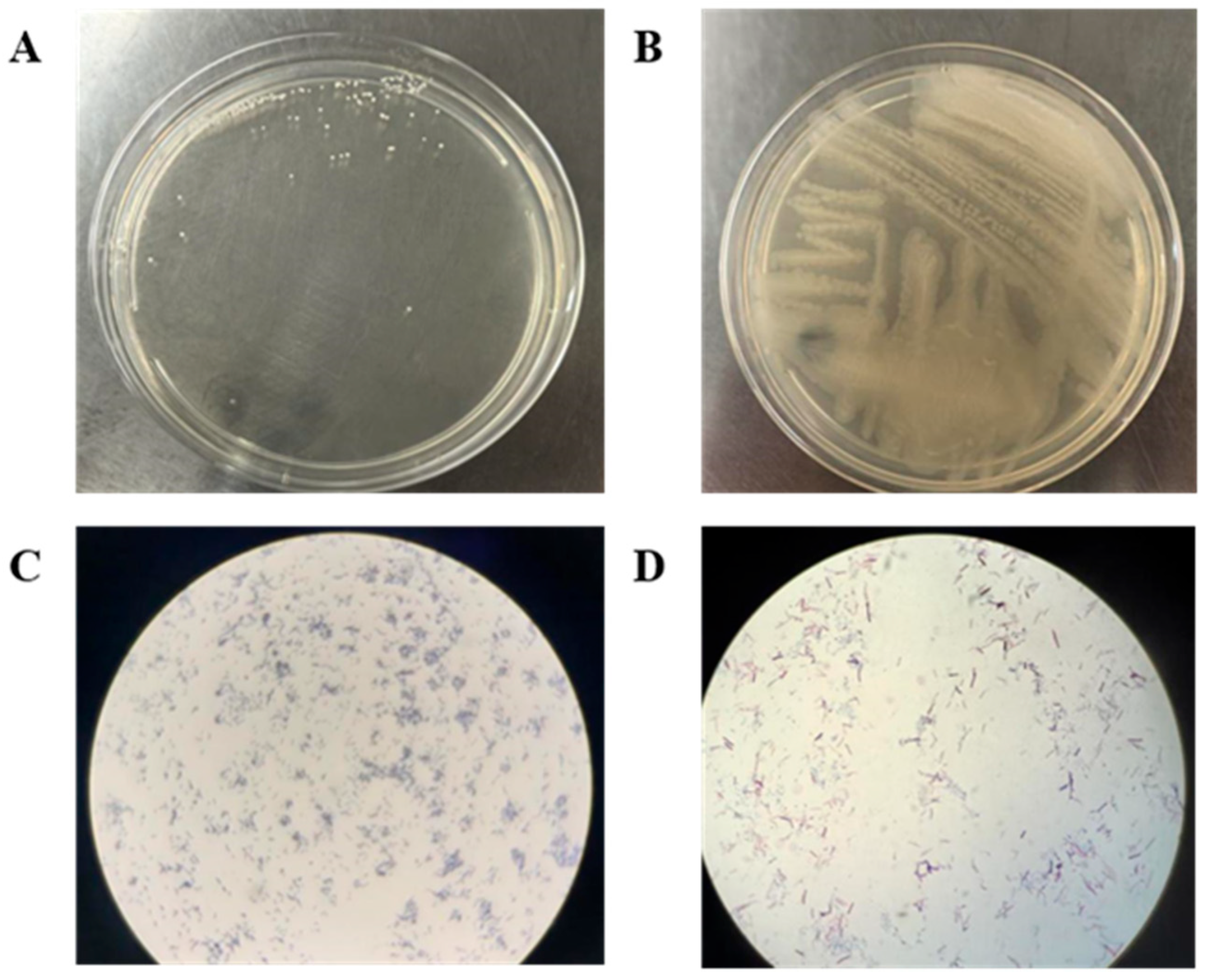 Processes 13 02854 g001