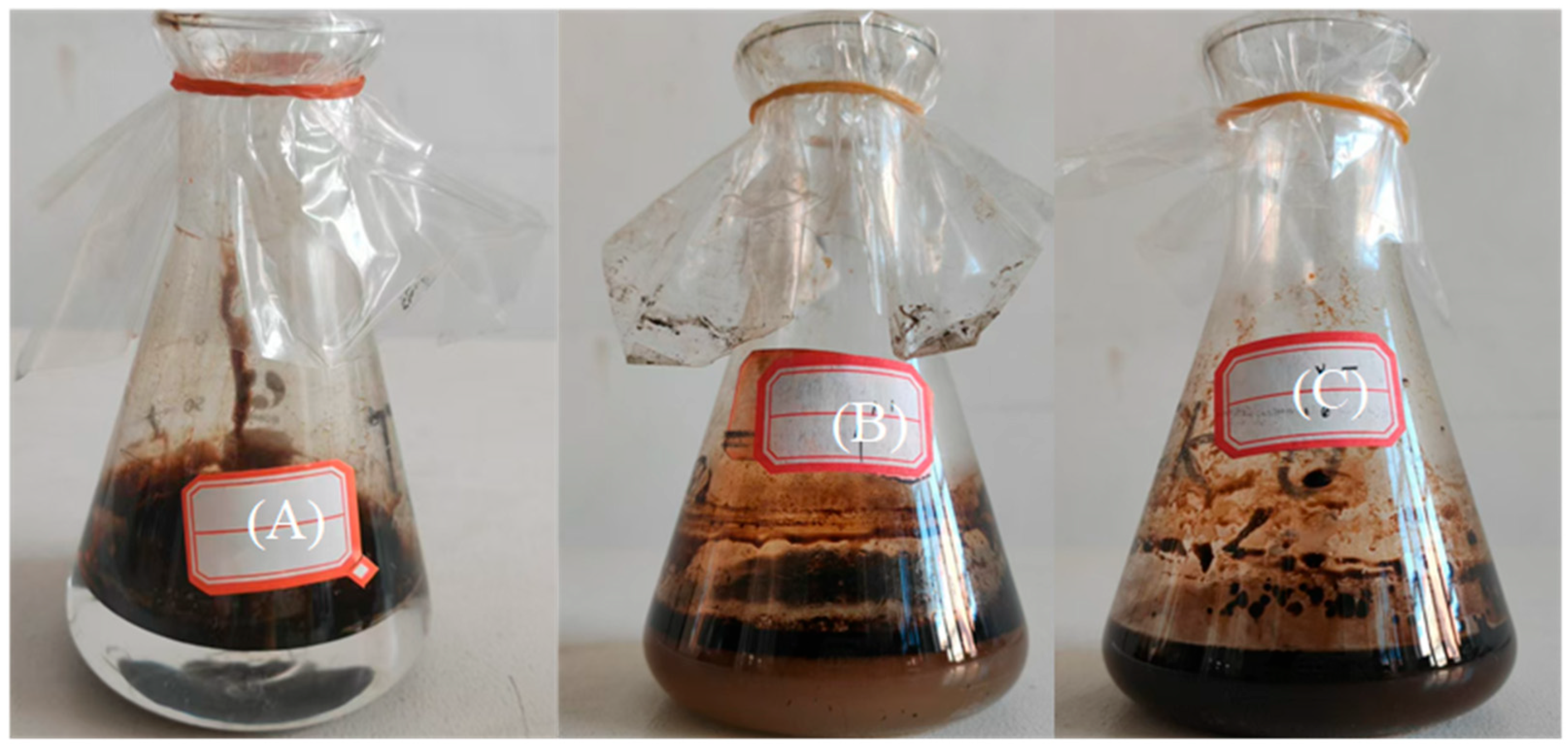 Processes 13 02854 g004