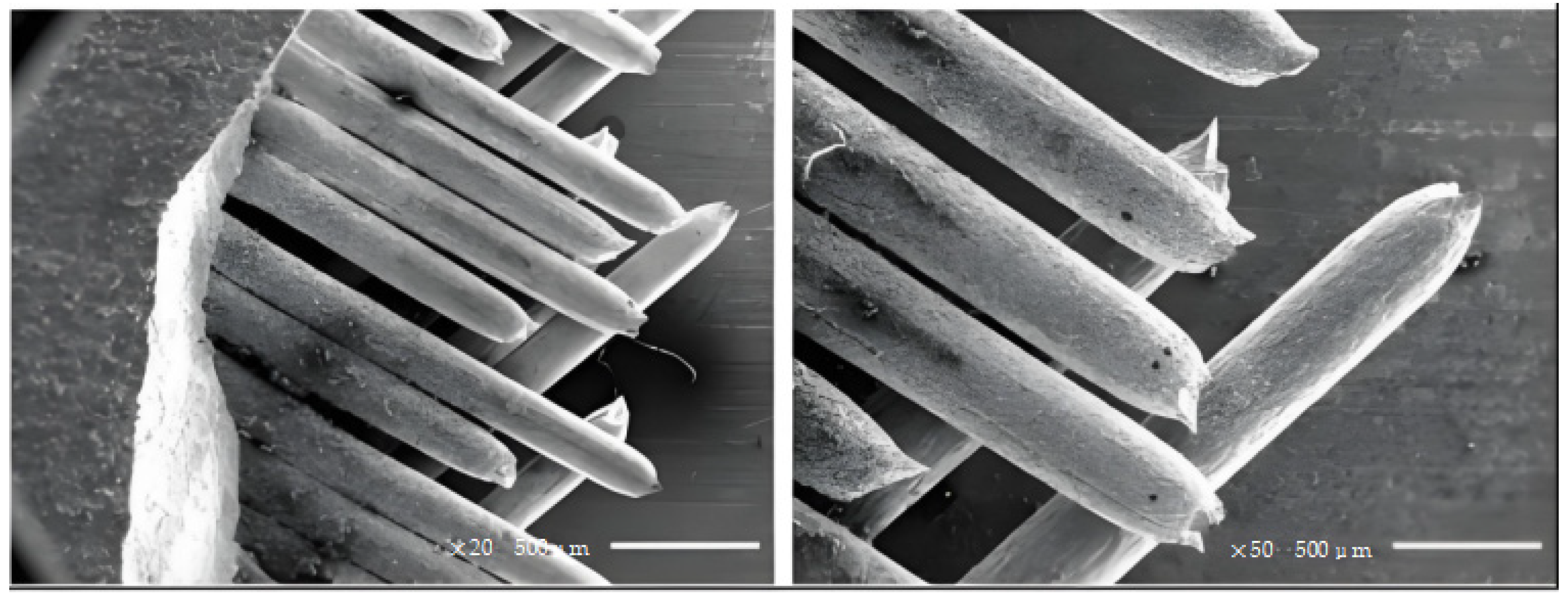 Processes 13 02908 g018 Processes 13 02908 g018