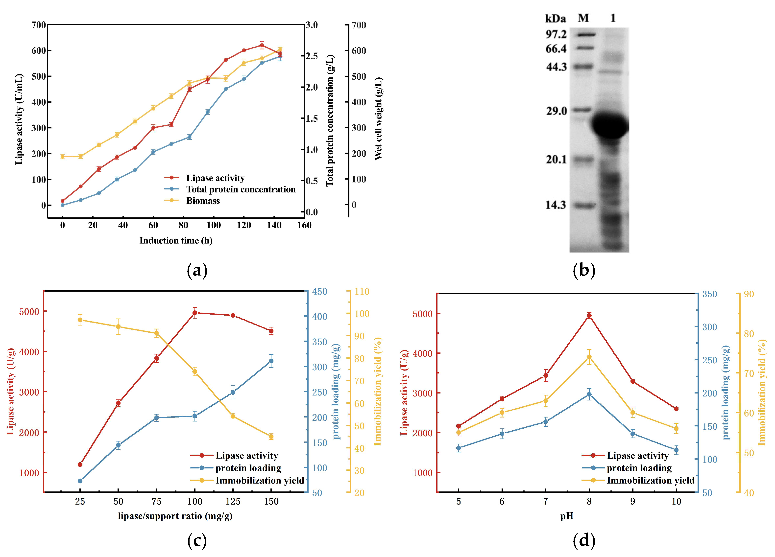 Processes 13 02937 g001