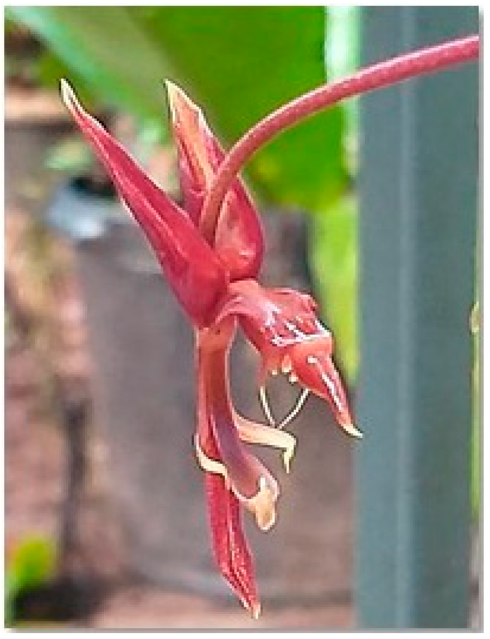 Processes 13 02950 g001 Processes 13 02950 g001