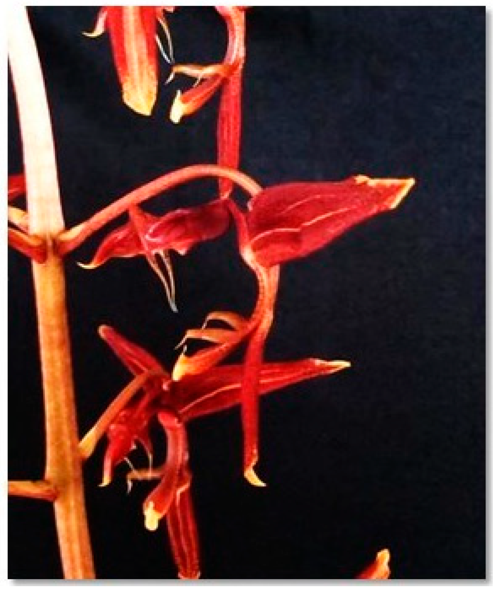 Processes 13 02950 g003 Processes 13 02950 g003