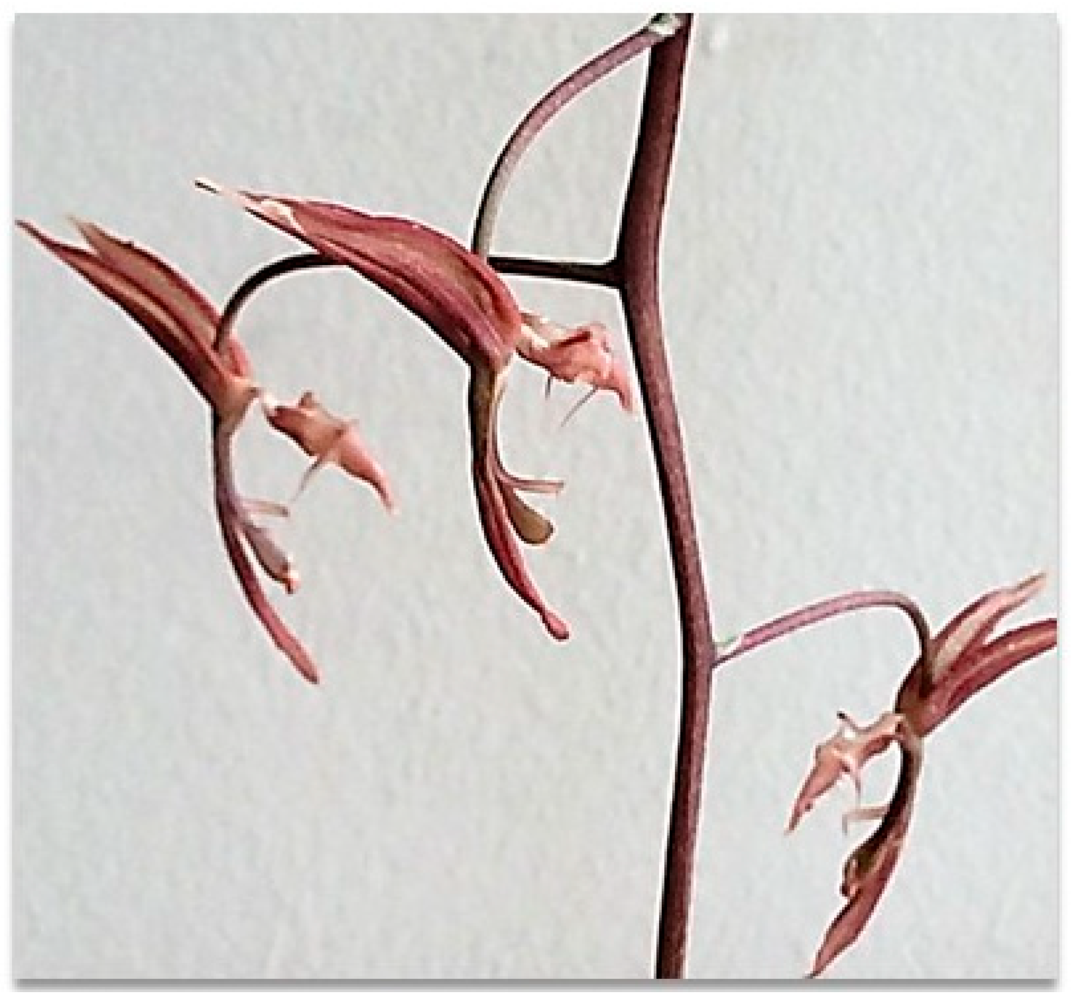 Processes 13 02950 g005 Processes 13 02950 g005