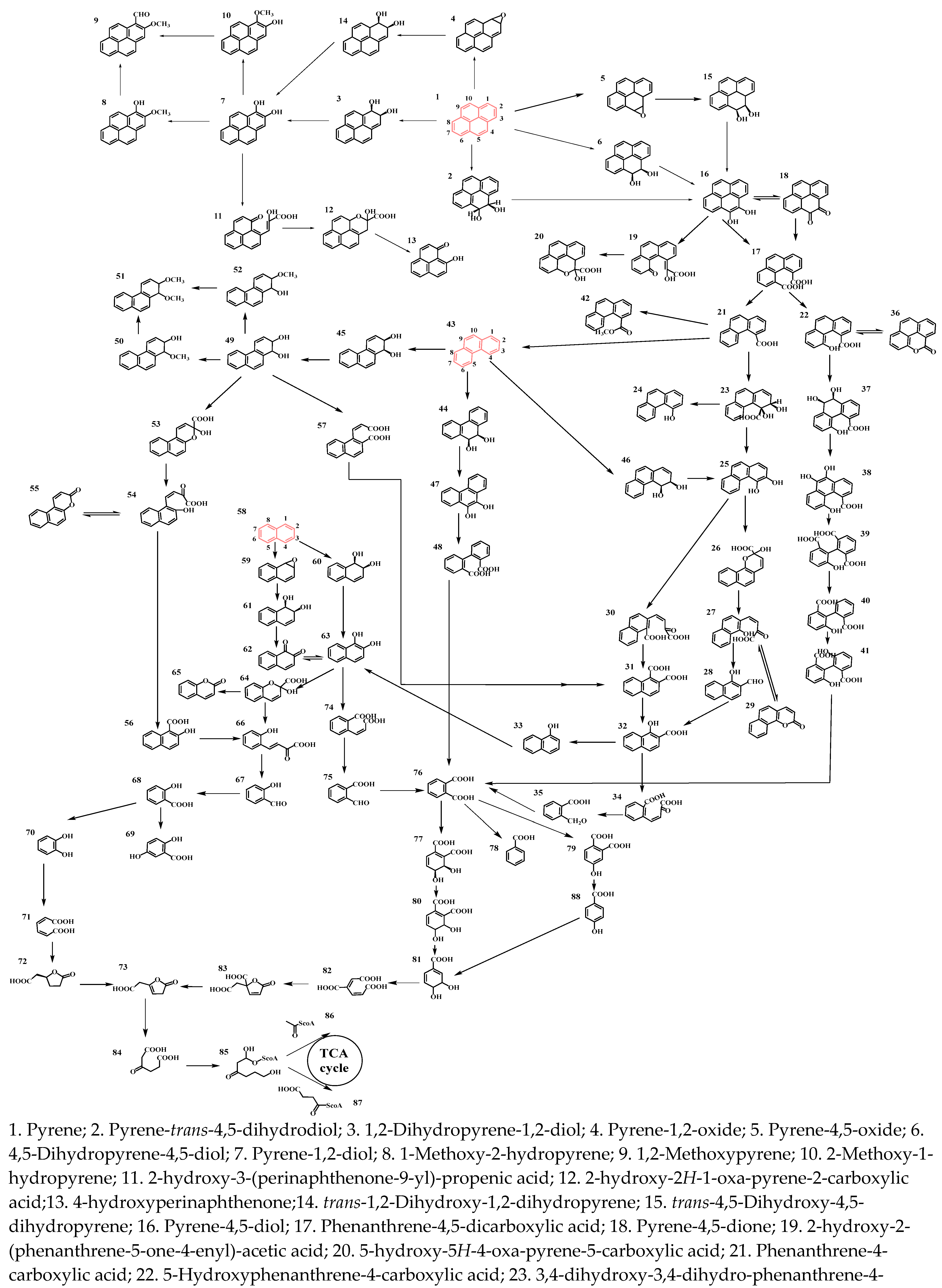 Processes 13 02954 g002a