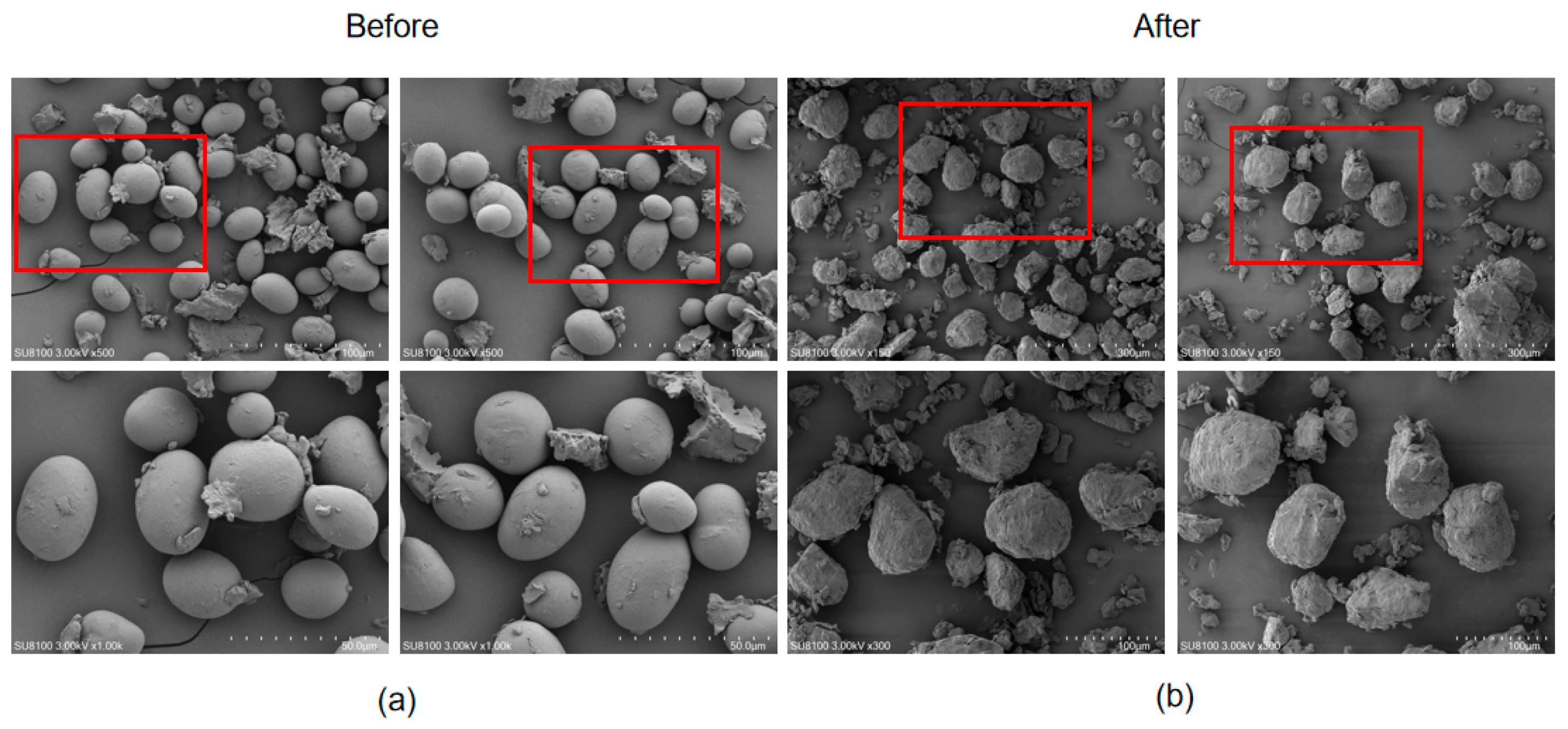 Processes 13 02977 g002