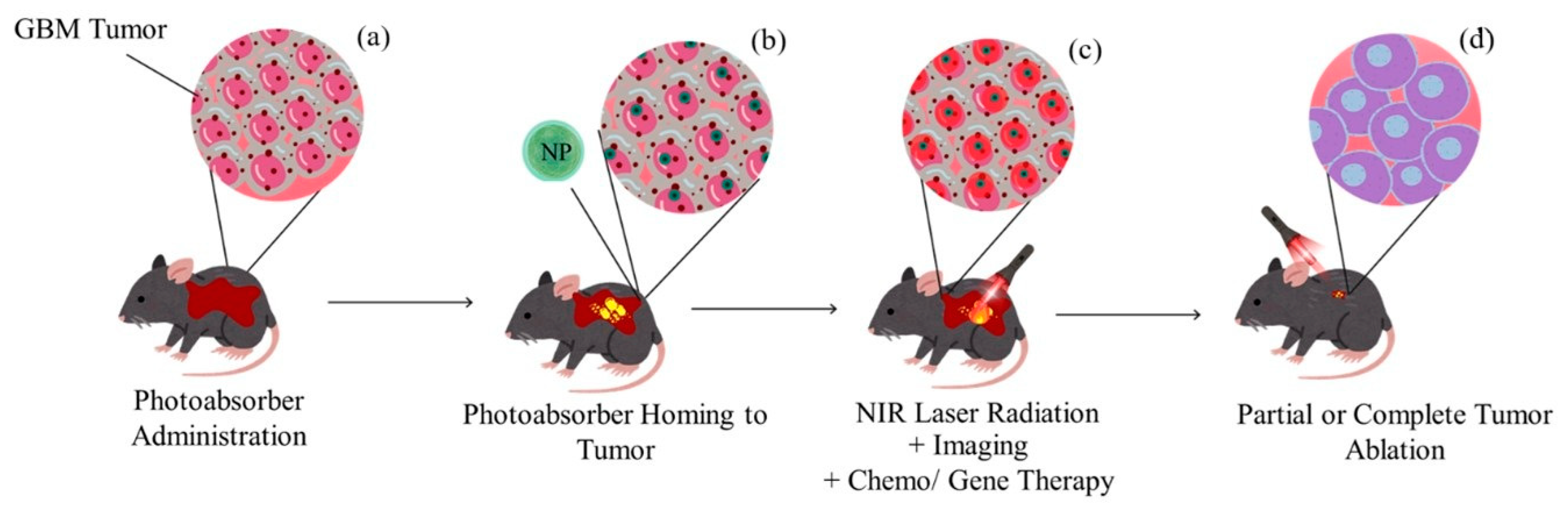 Processes 13 02978 g003 Processes 13 02978 g003