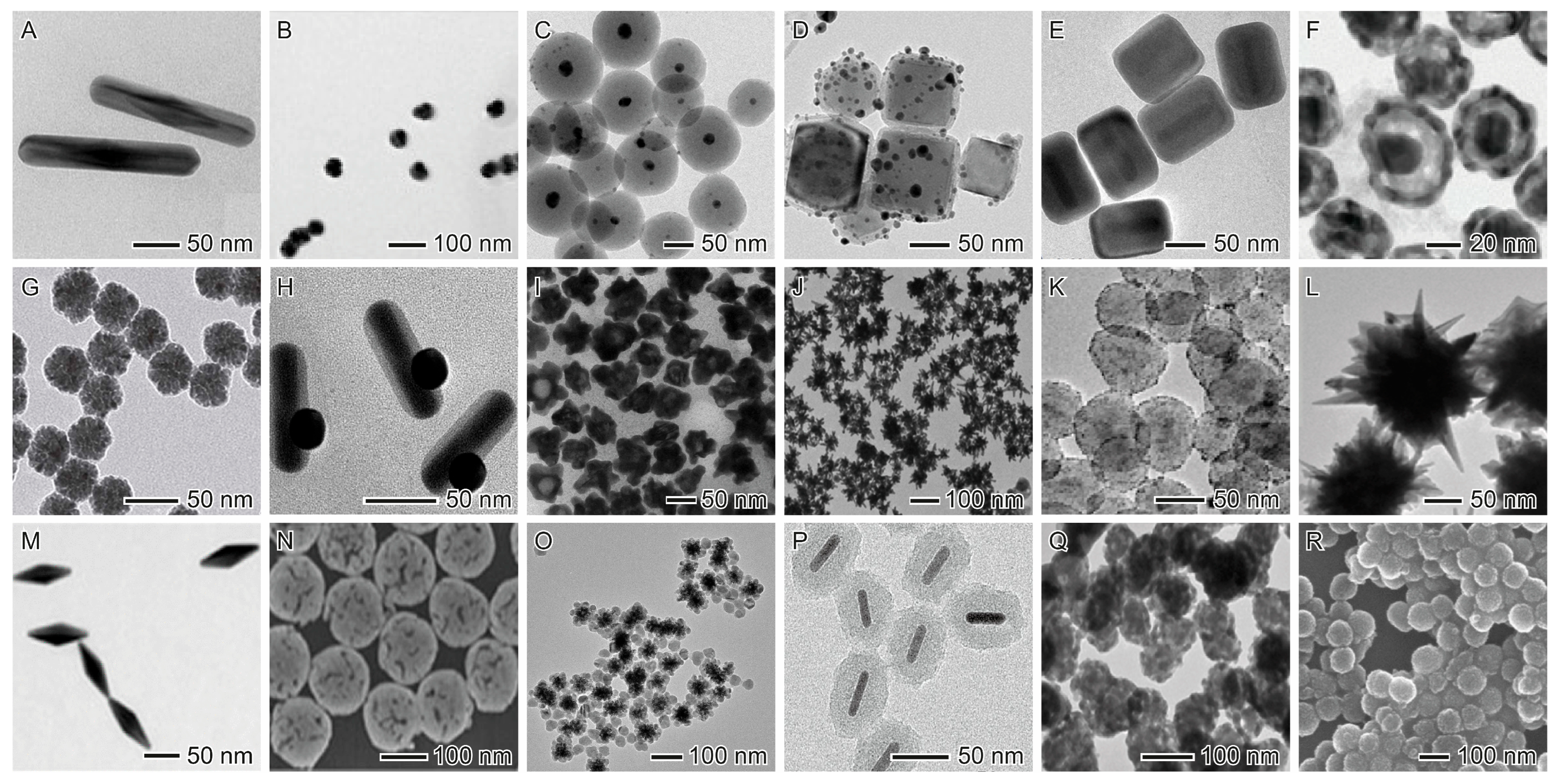 Processes 13 02978 g004 Processes 13 02978 g004