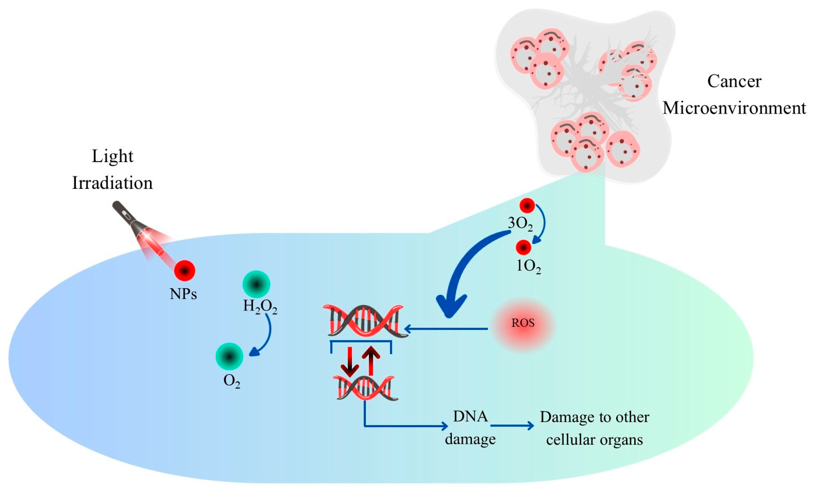 Processes 13 02978 g010 Processes 13 02978 g010