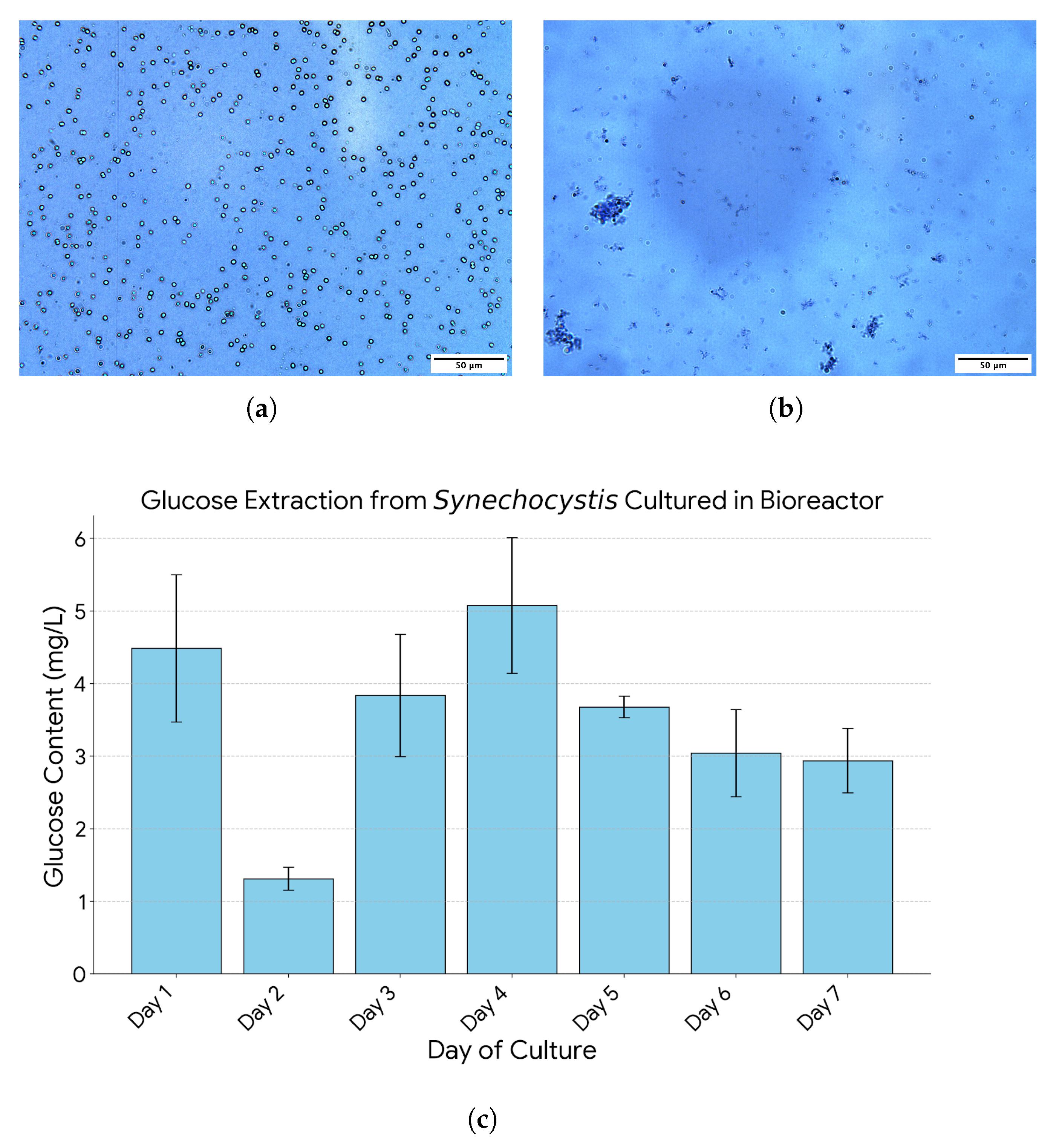Processes 13 02985 g006