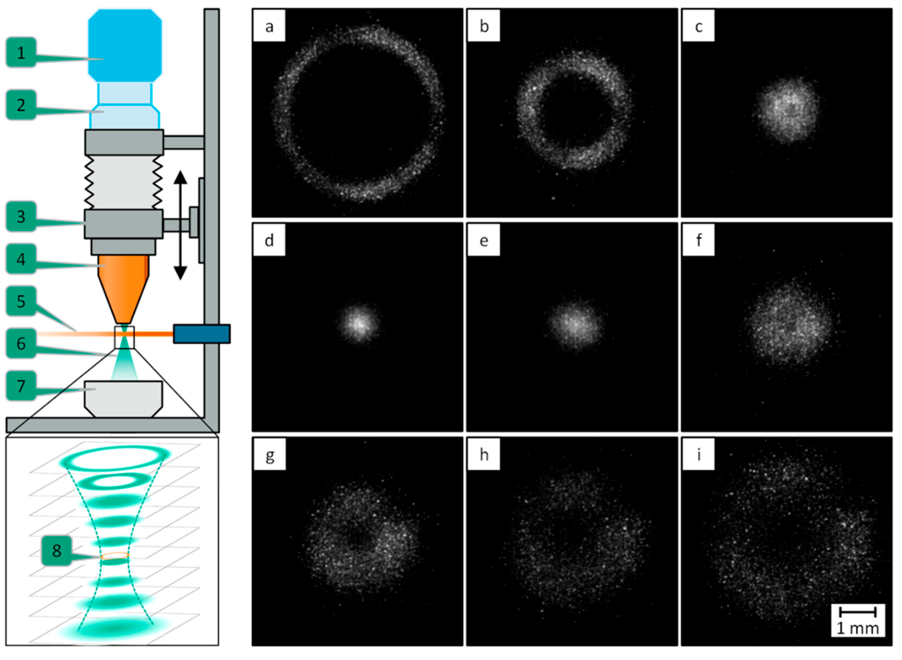 Processes 13 02995 g023