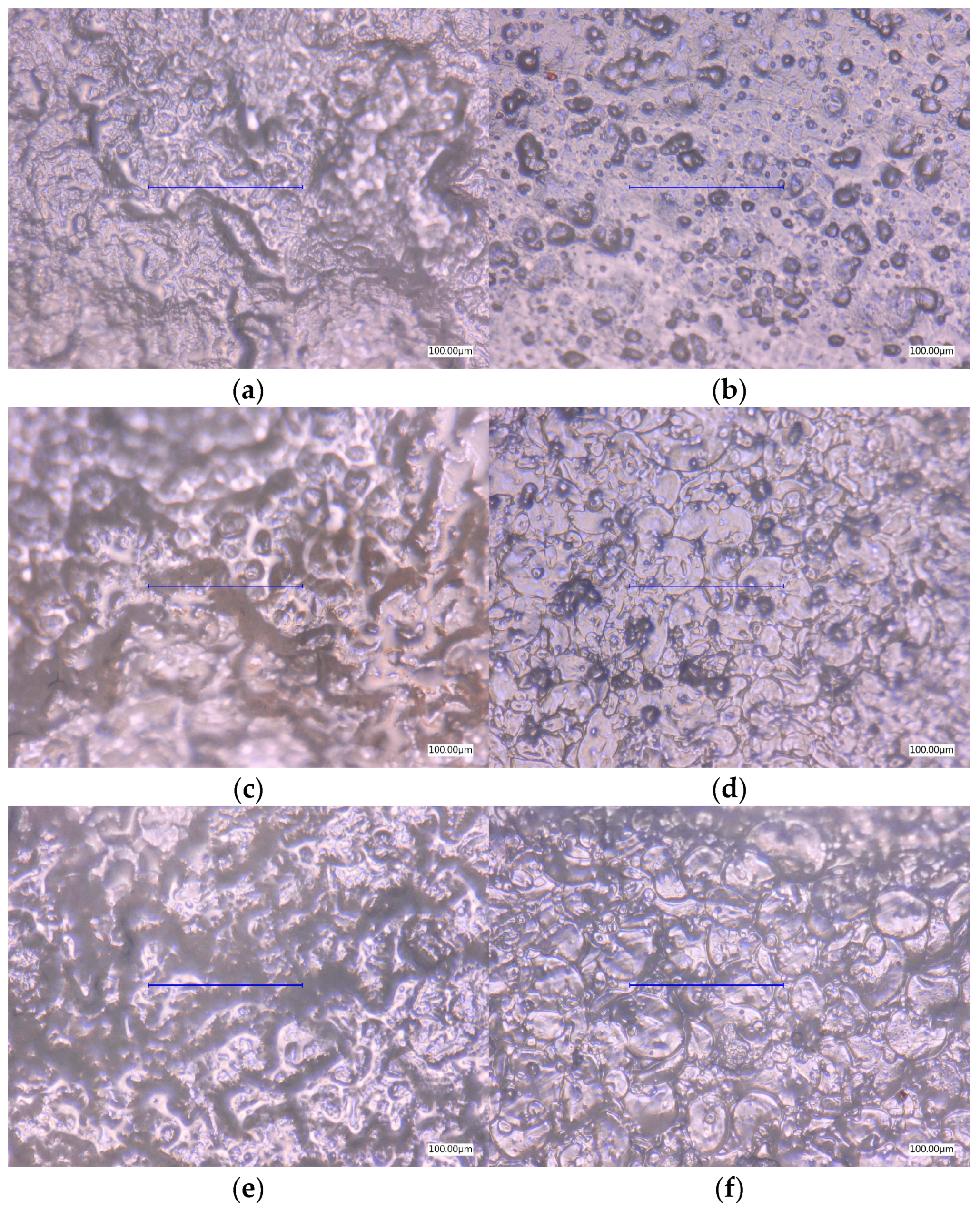 Processes 13 03006 g003 Processes 13 03006 g003
