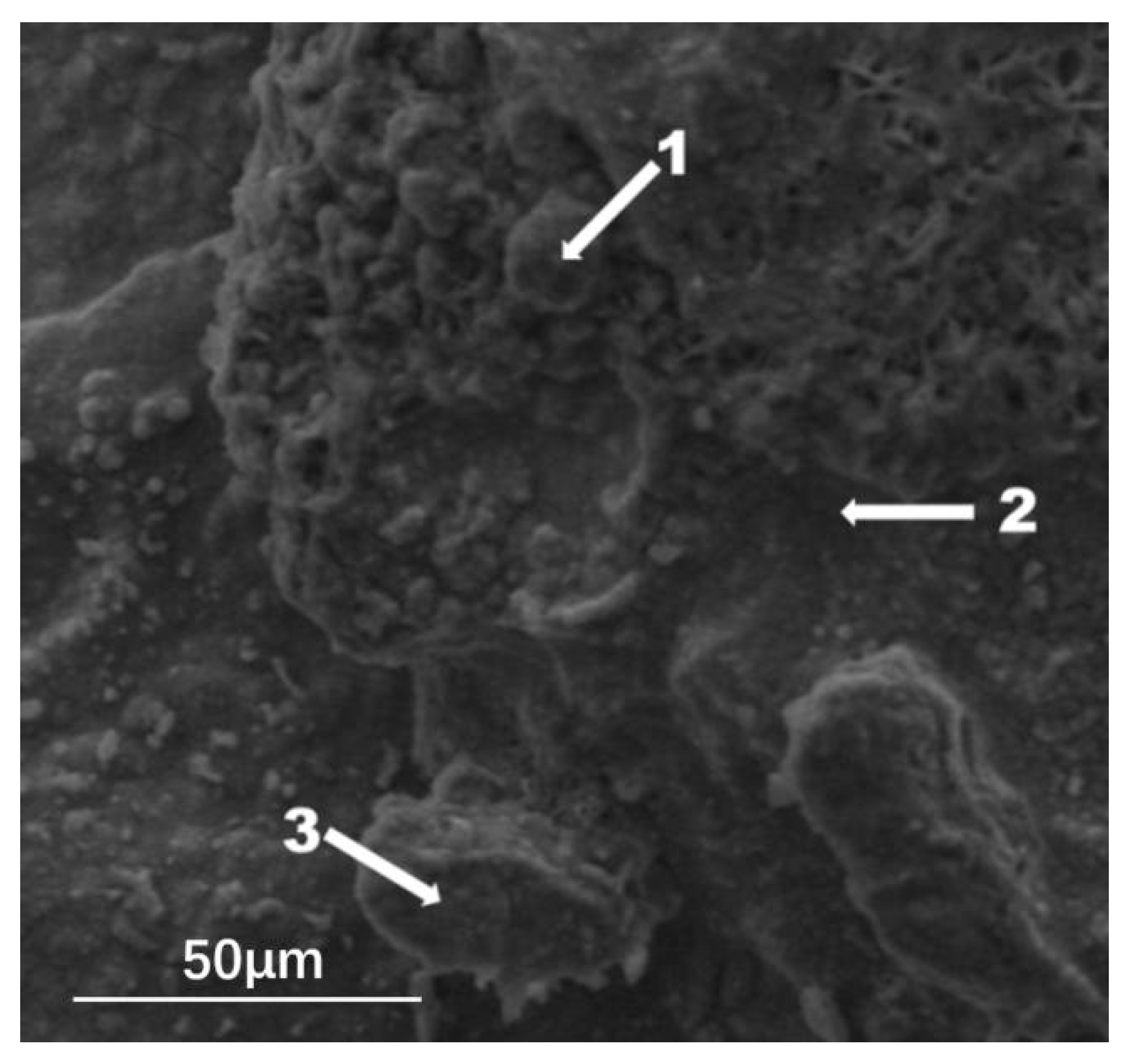 Processes 13 03016 g003