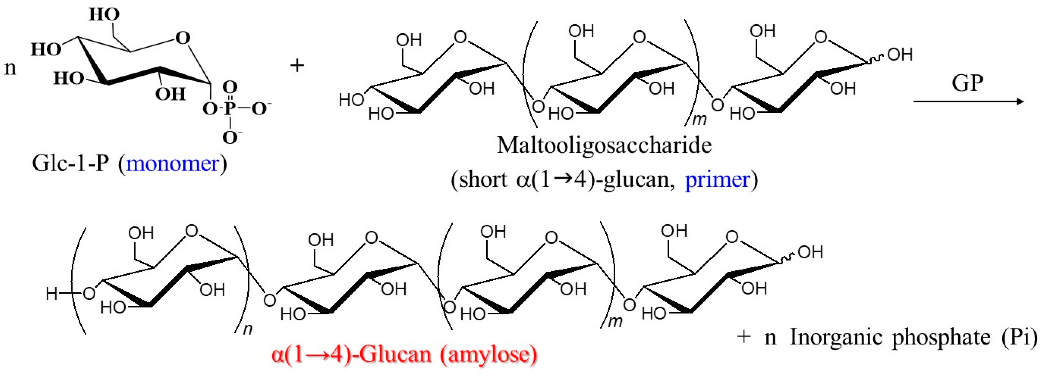 Processes 13 03042 g004 Processes 13 03042 g004
