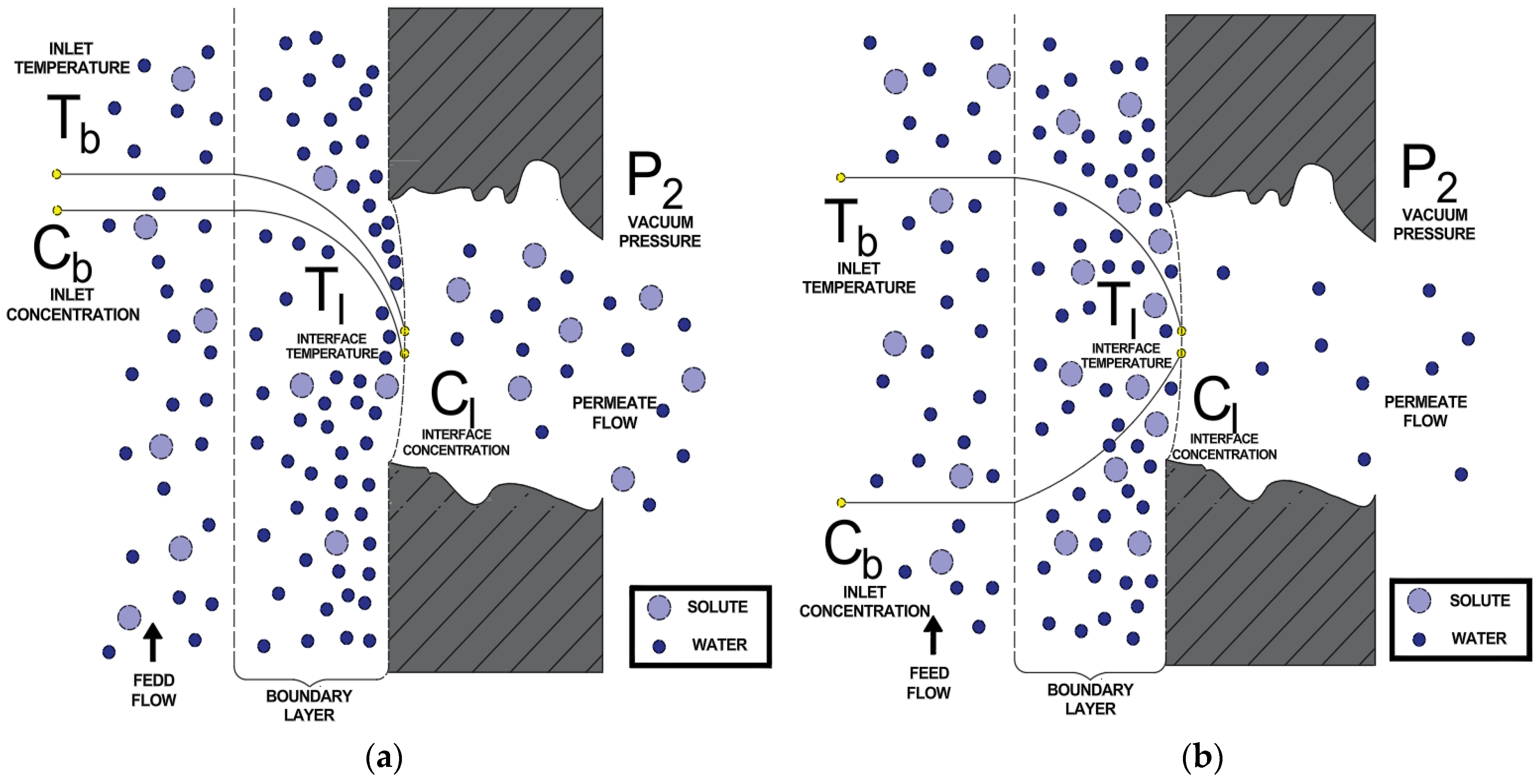 Processes 13 03045 g002