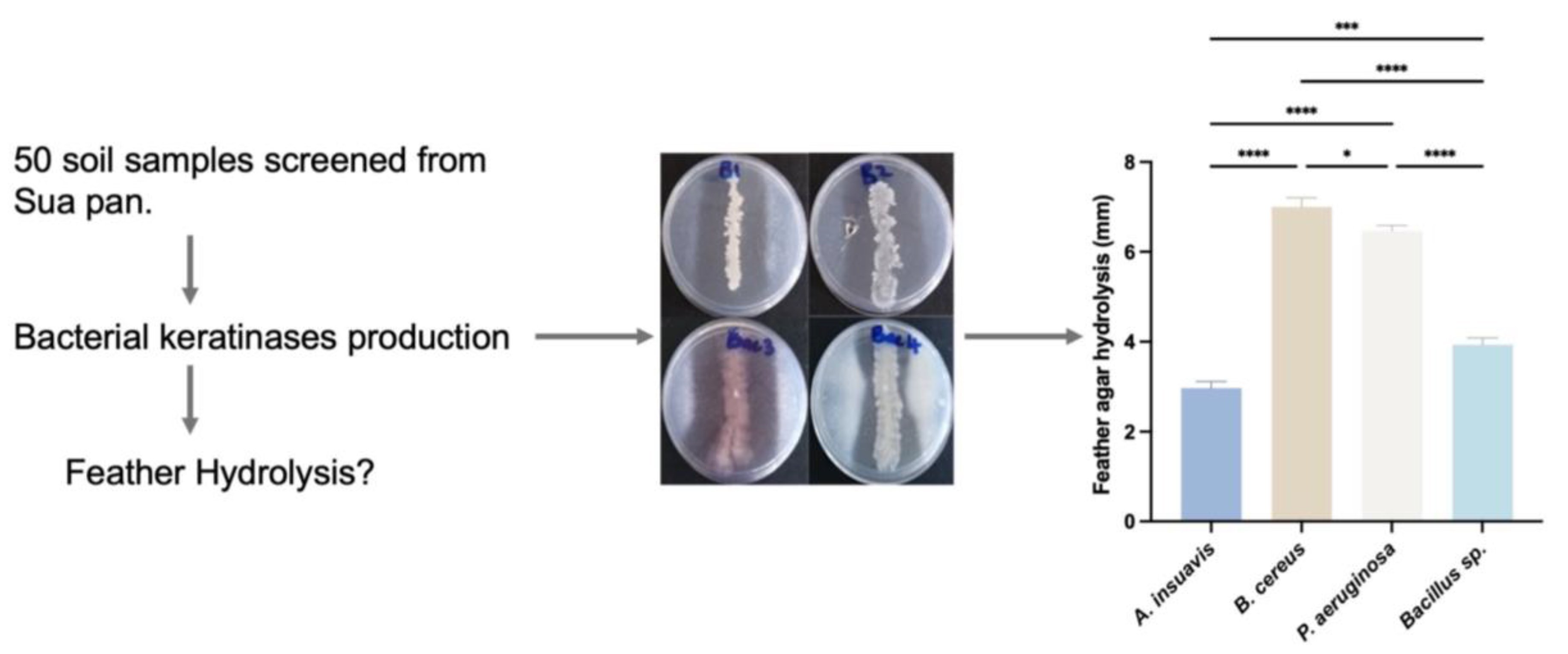 Processes 13 03050 g001