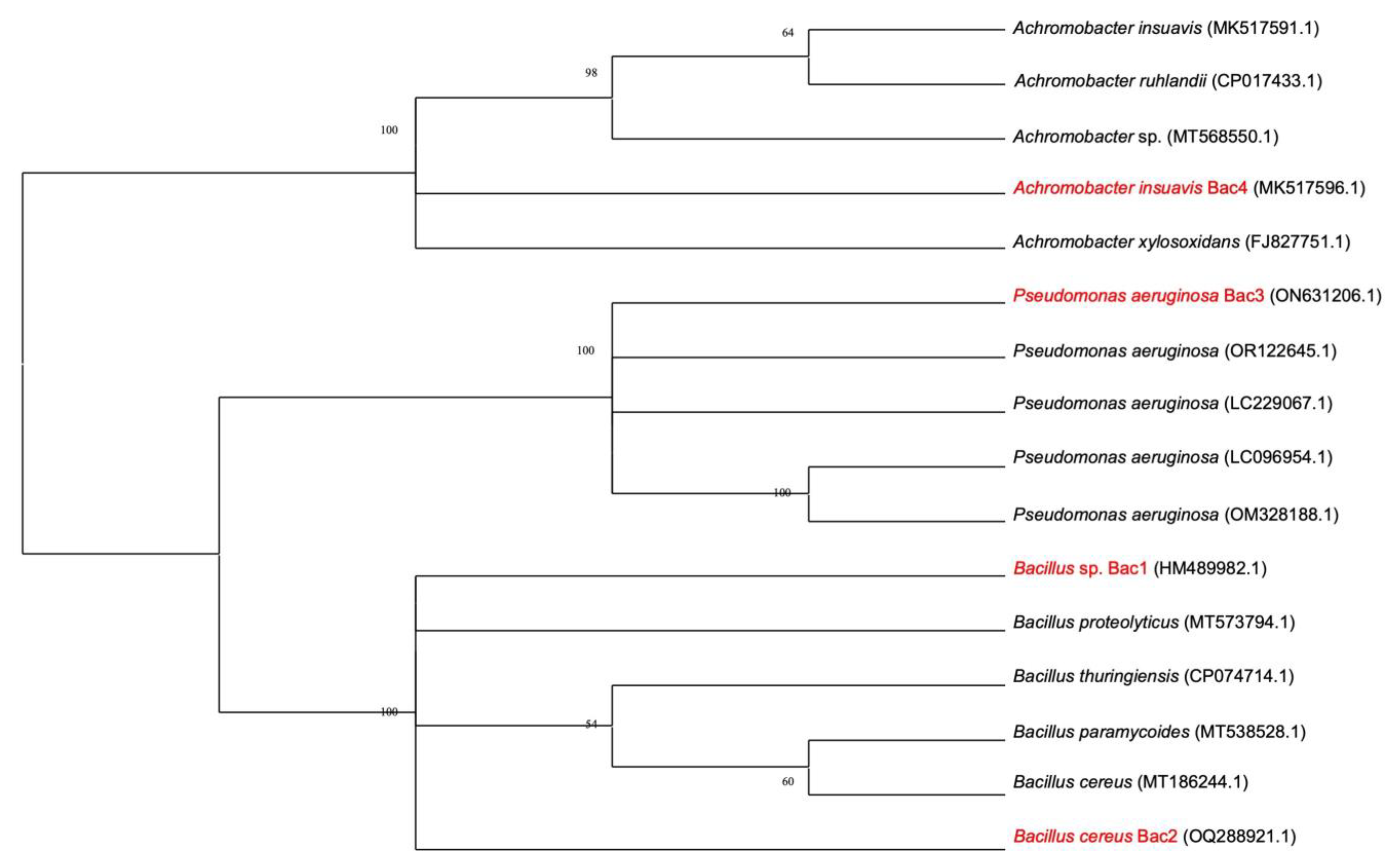Processes 13 03050 g002