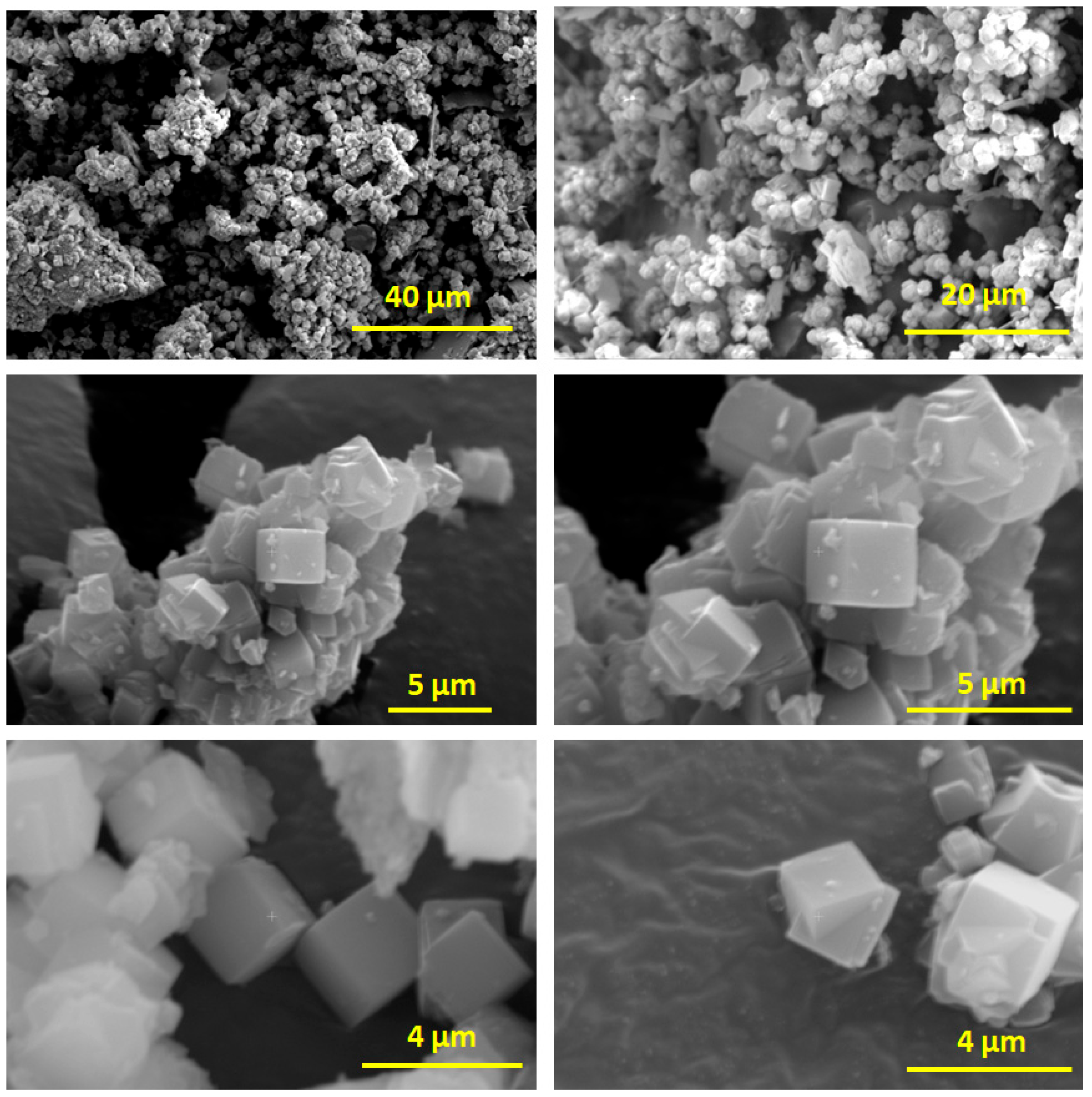 Processes 13 03060 g004 Processes 13 03060 g004