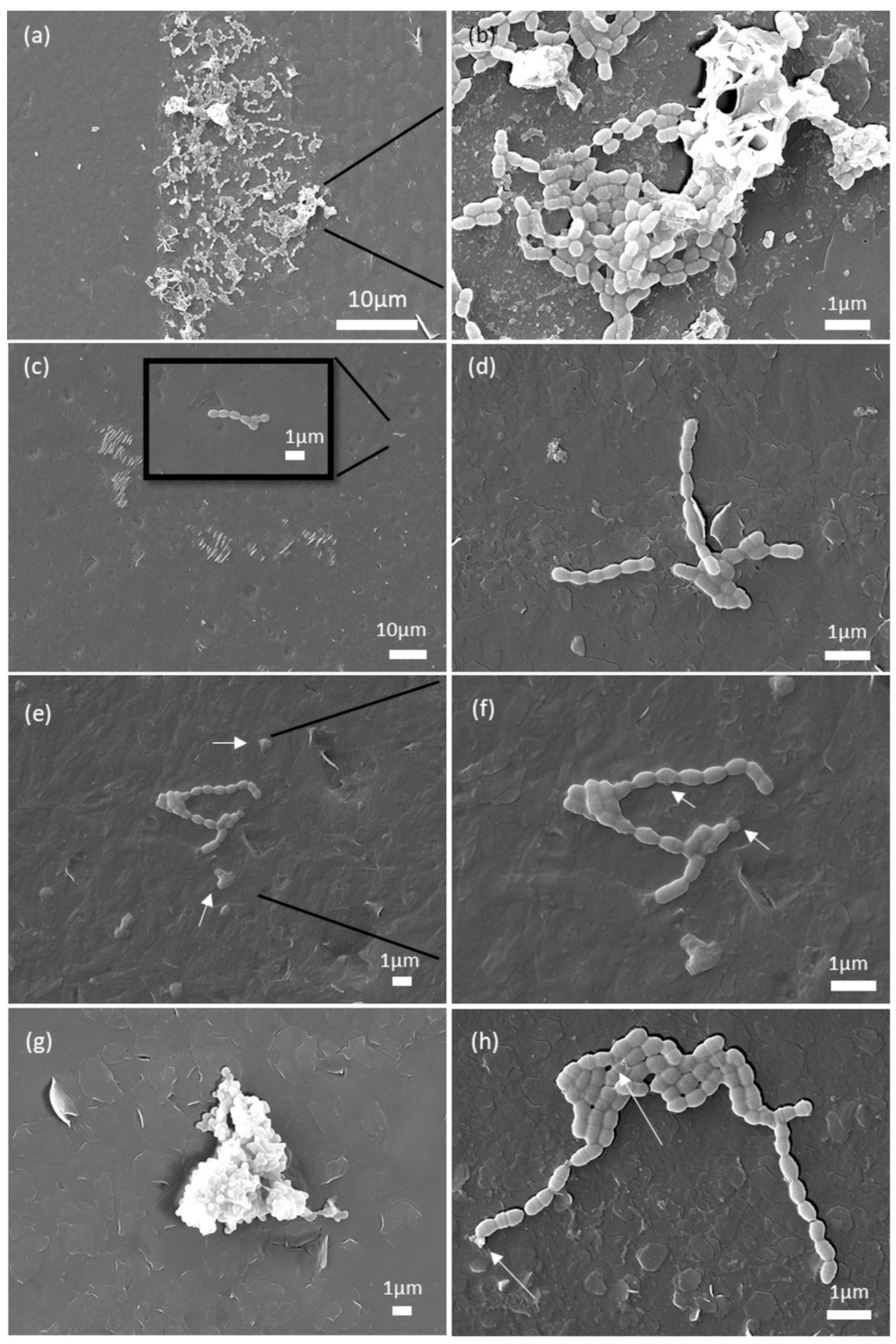 Processes 13 03069 g006 Processes 13 03069 g006