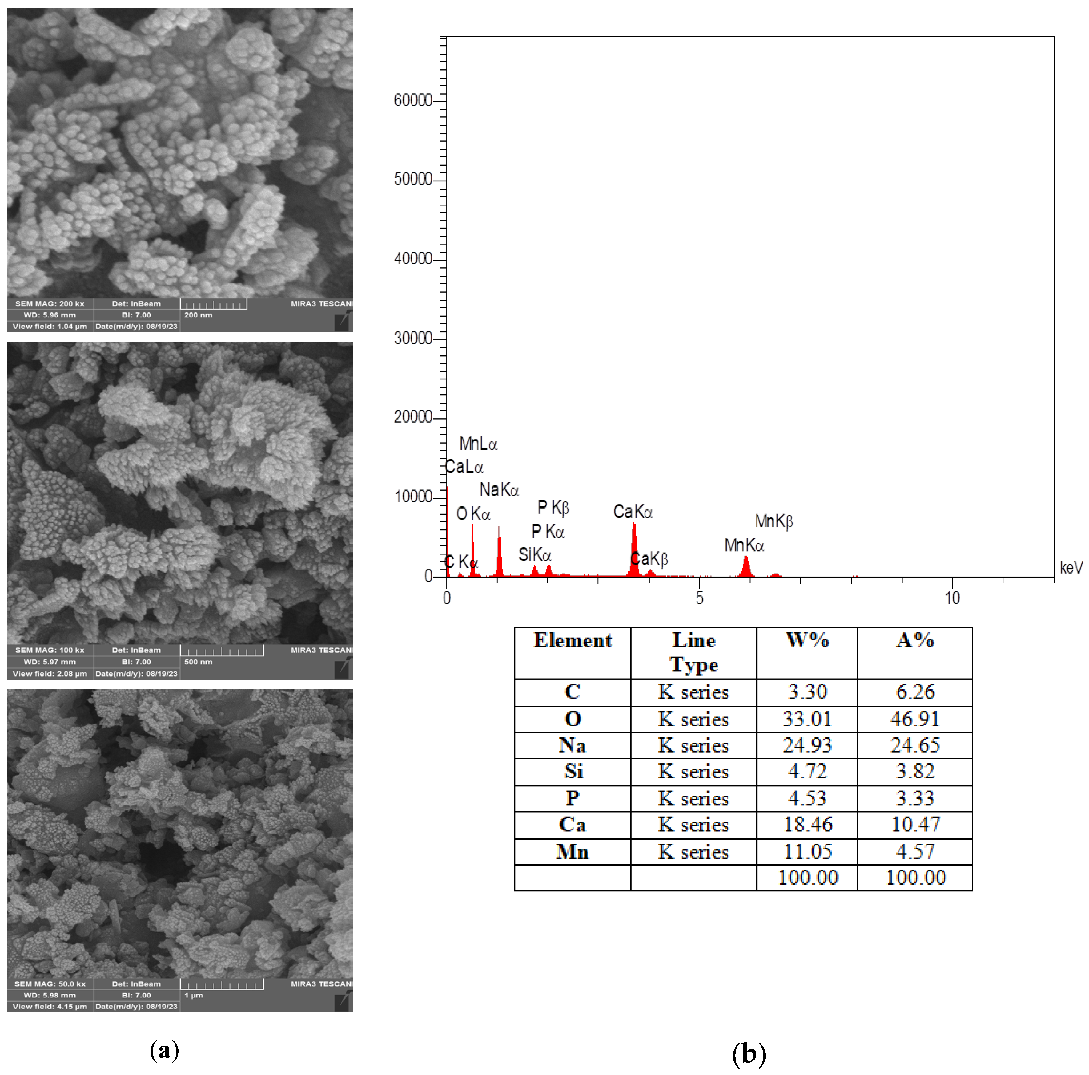 Processes 13 03084 g003