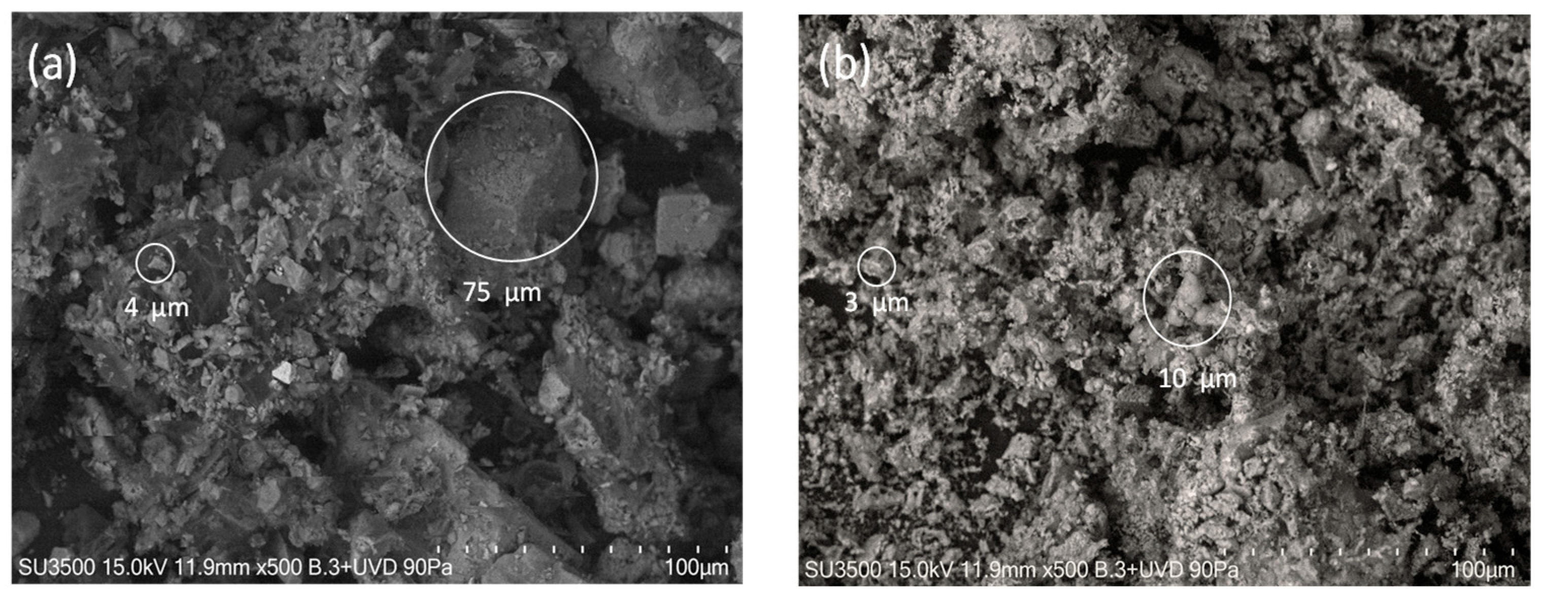 Processes 13 03118 g001 Processes 13 03118 g001