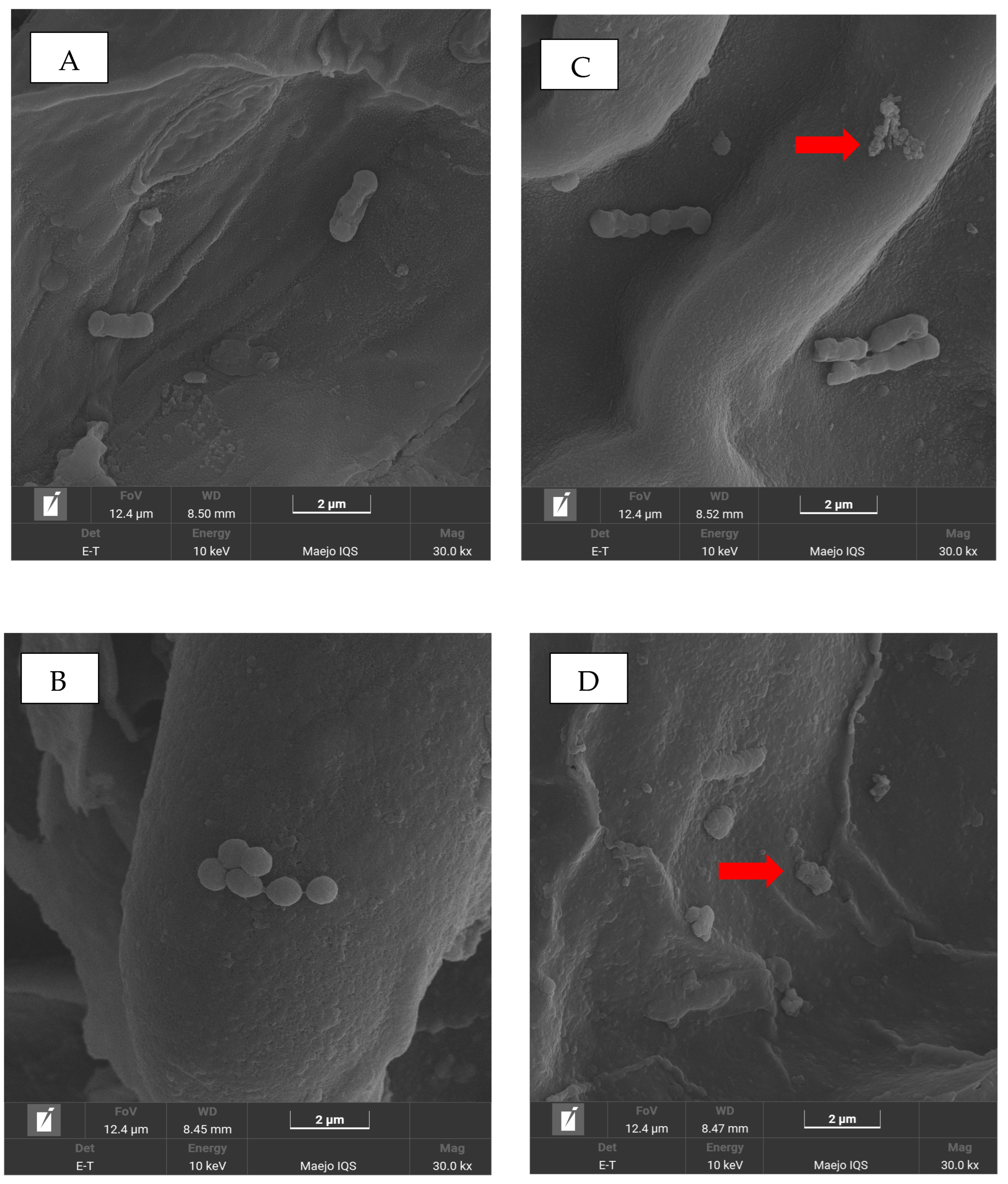 Processes 13 03130 g004