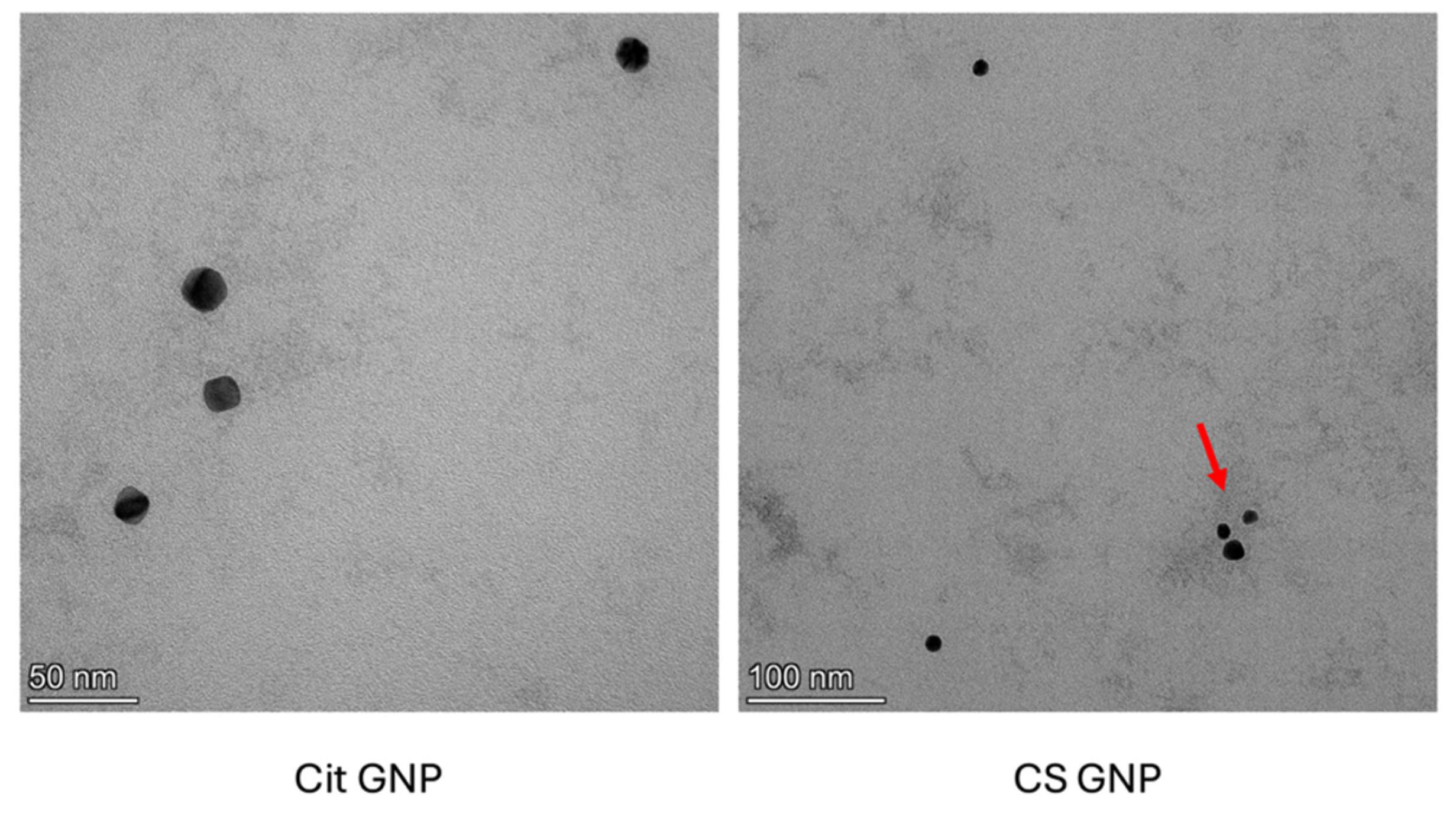 Processes 13 03157 g008