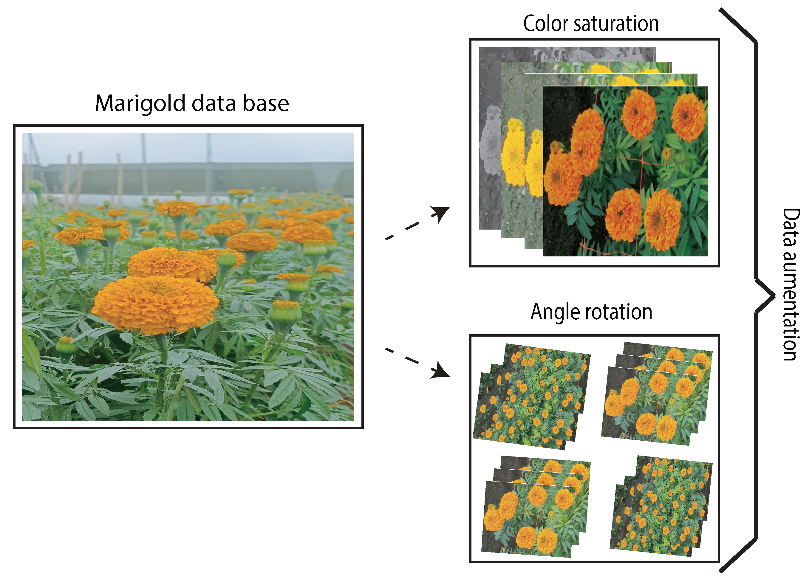 Processes 13 03169 g003 Processes 13 03169 g003