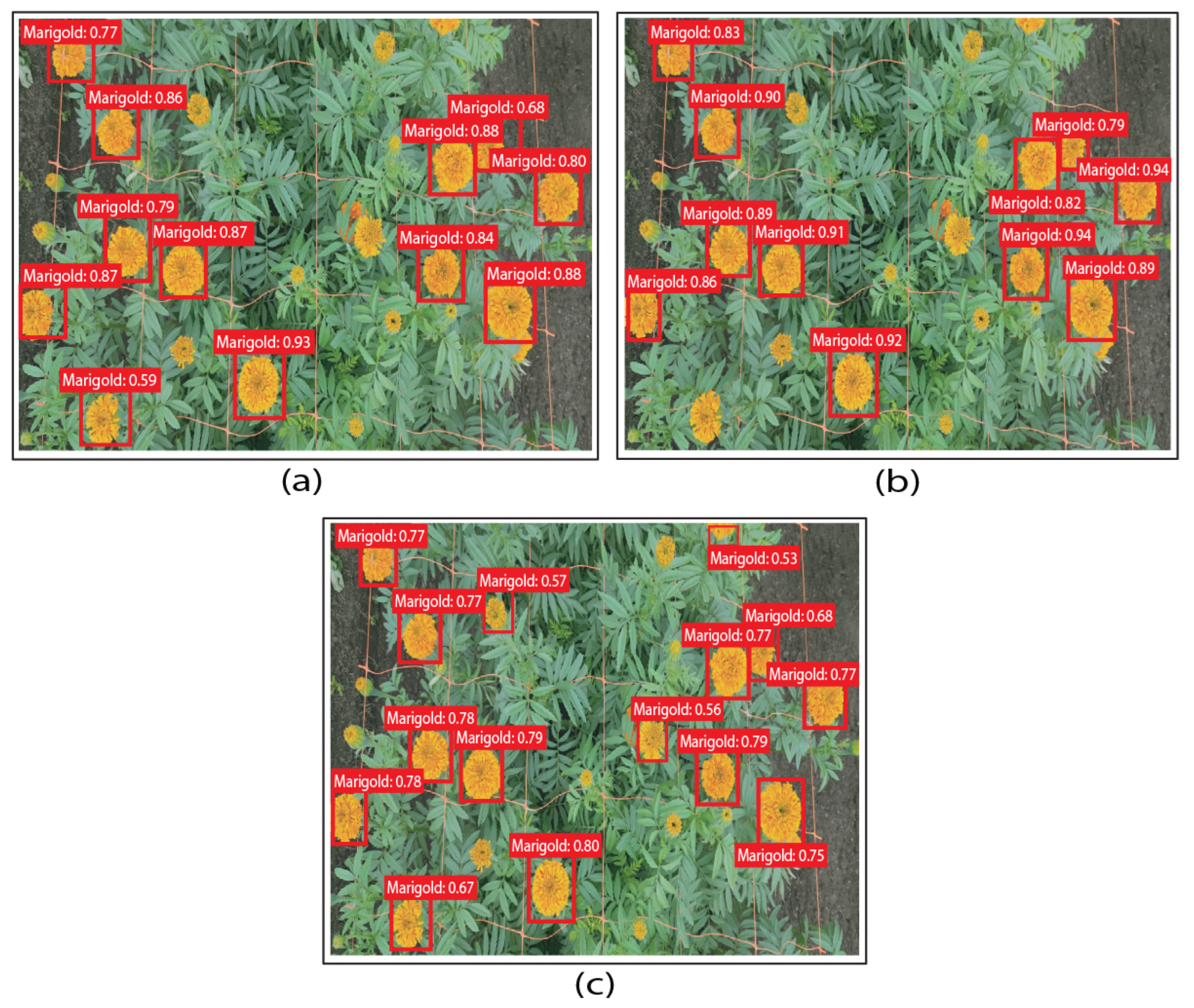 Processes 13 03169 g006 Processes 13 03169 g006