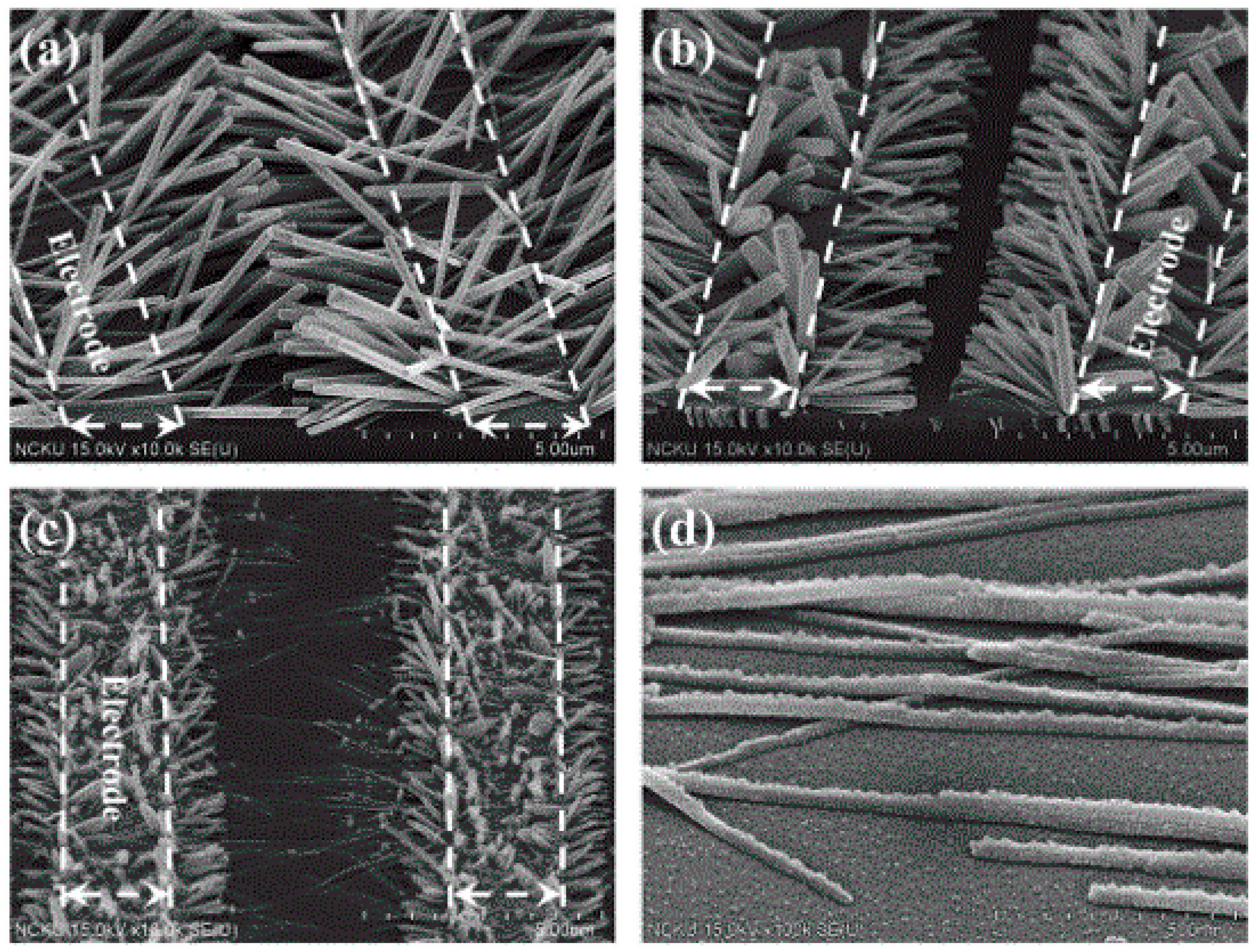 Processes 13 03180 g002 Processes 13 03180 g002
