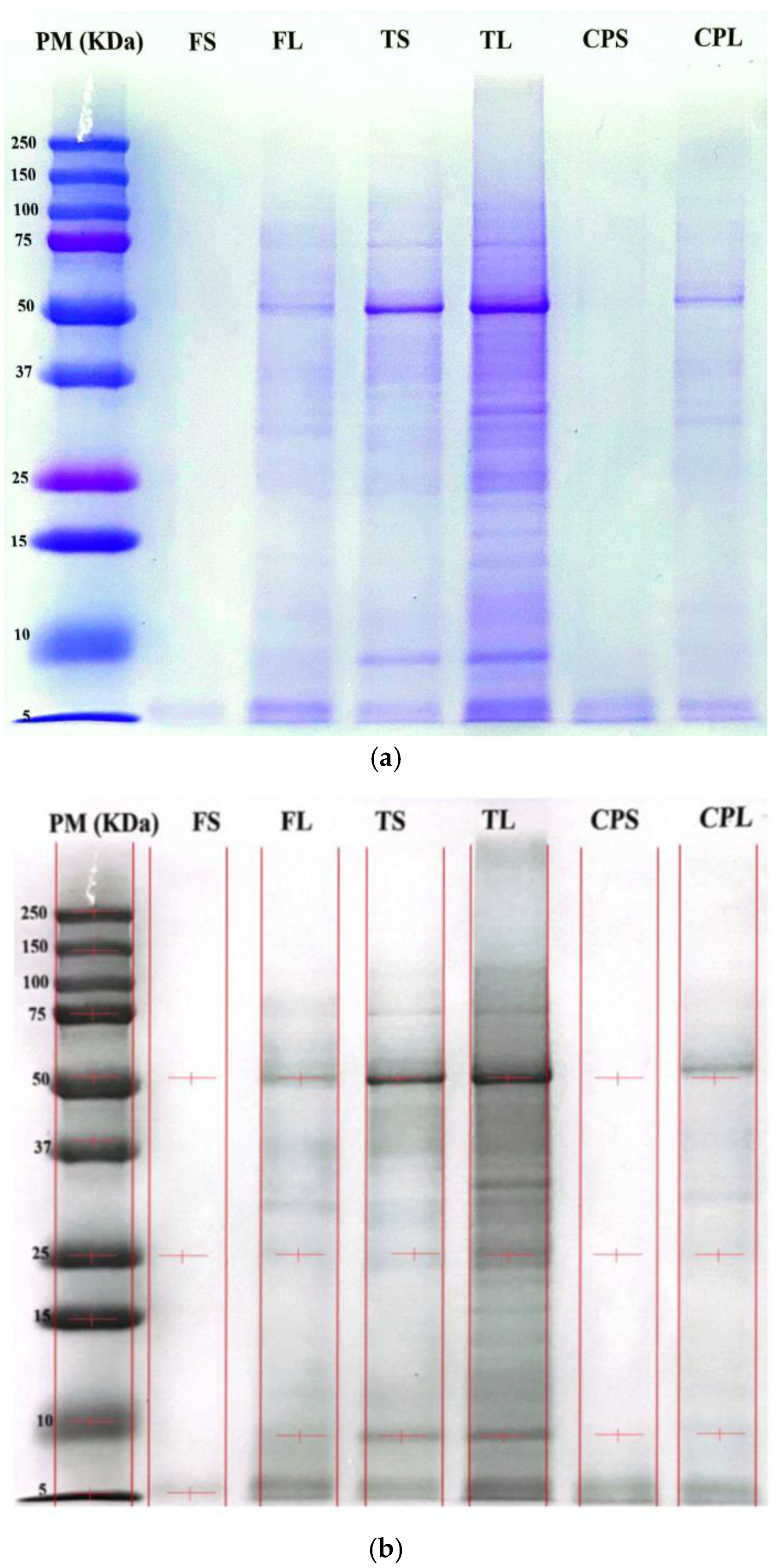 Processes 13 03184 g002 Processes 13 03184 g002