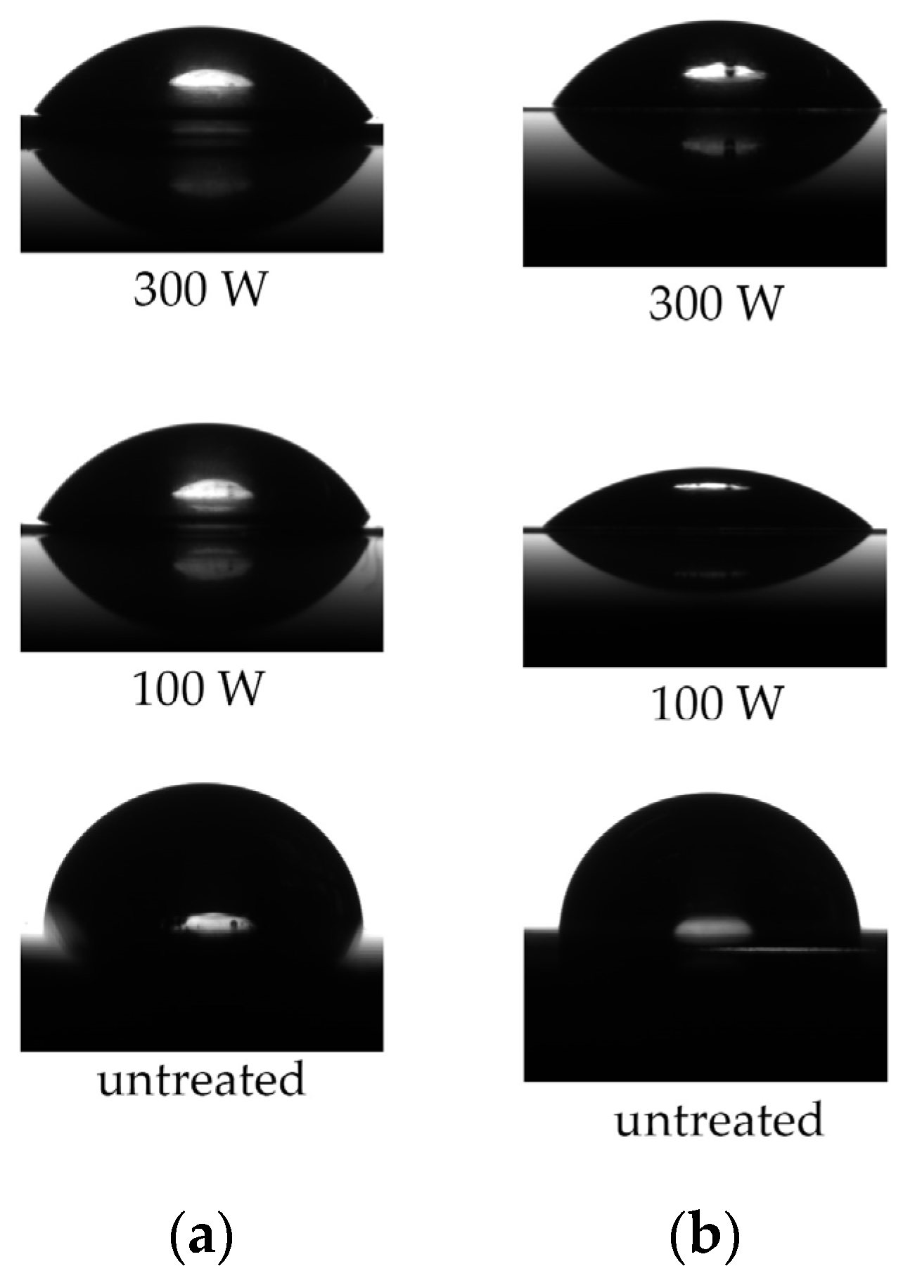 Processes 13 03190 g003 Processes 13 03190 g003