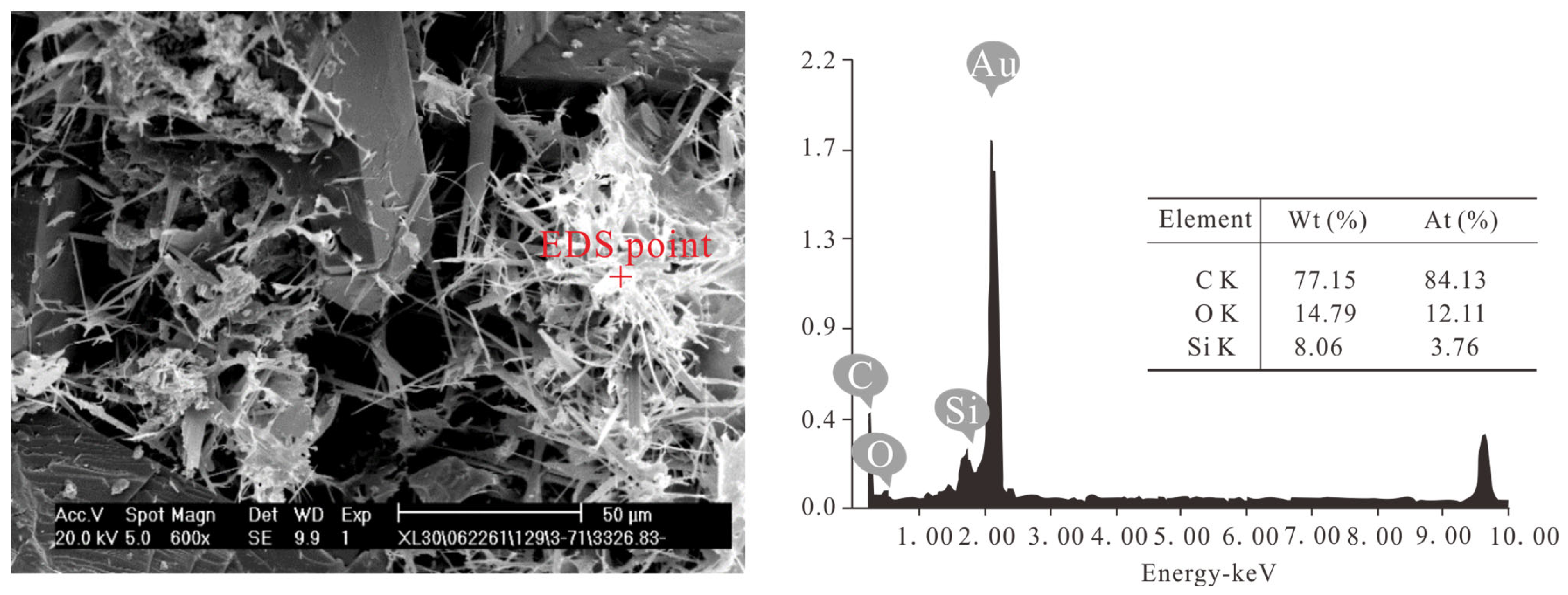 Processes 13 03191 g005 Processes 13 03191 g005