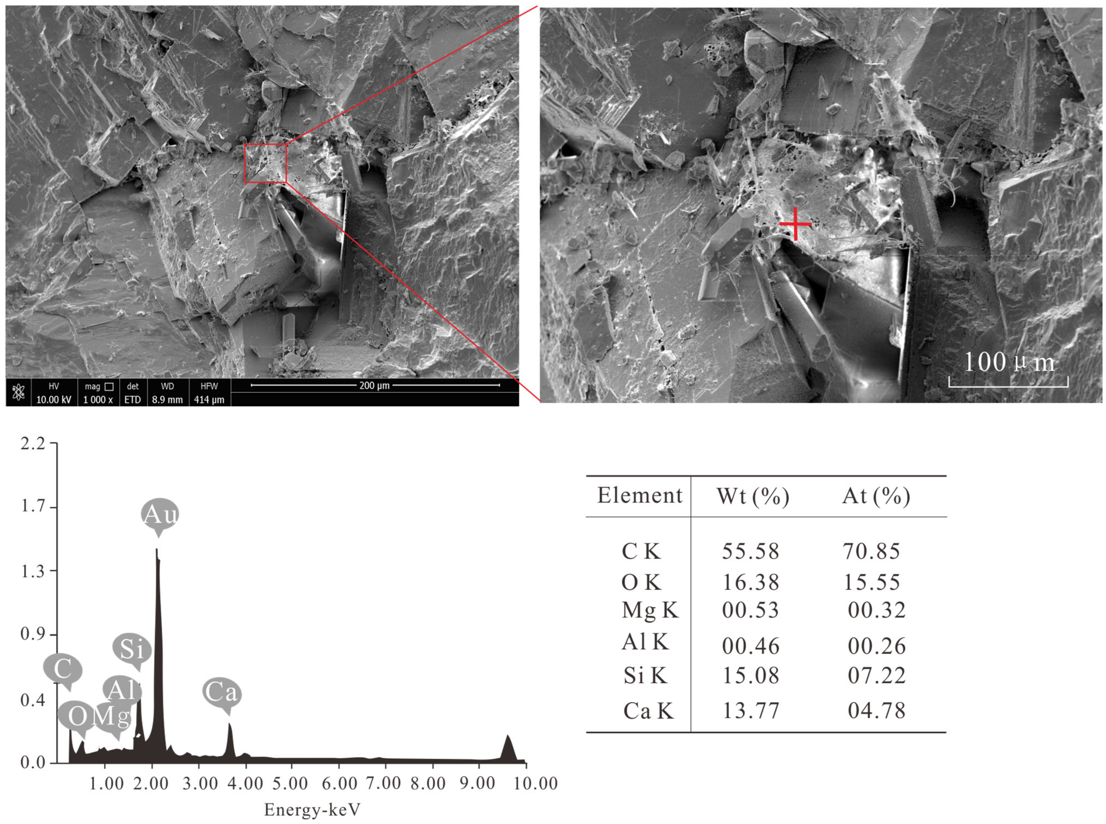 Processes 13 03191 g009 Processes 13 03191 g009