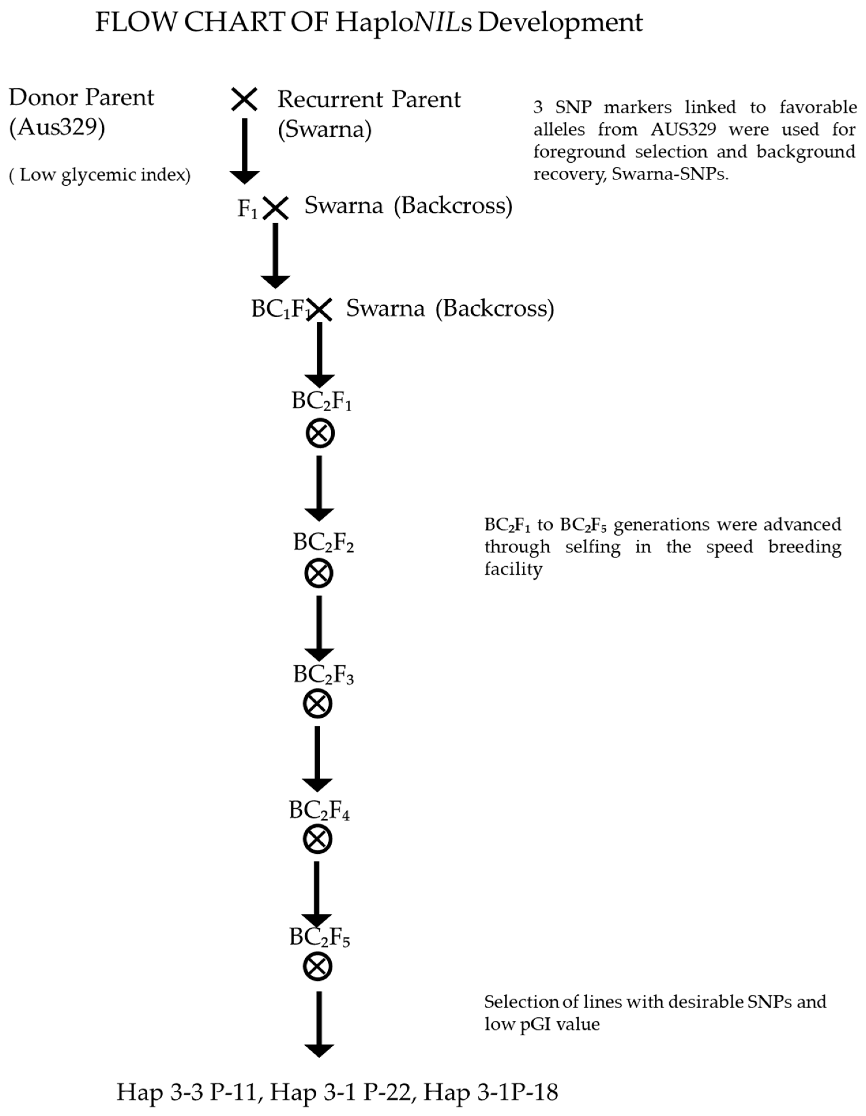 Processes 13 03241 g001