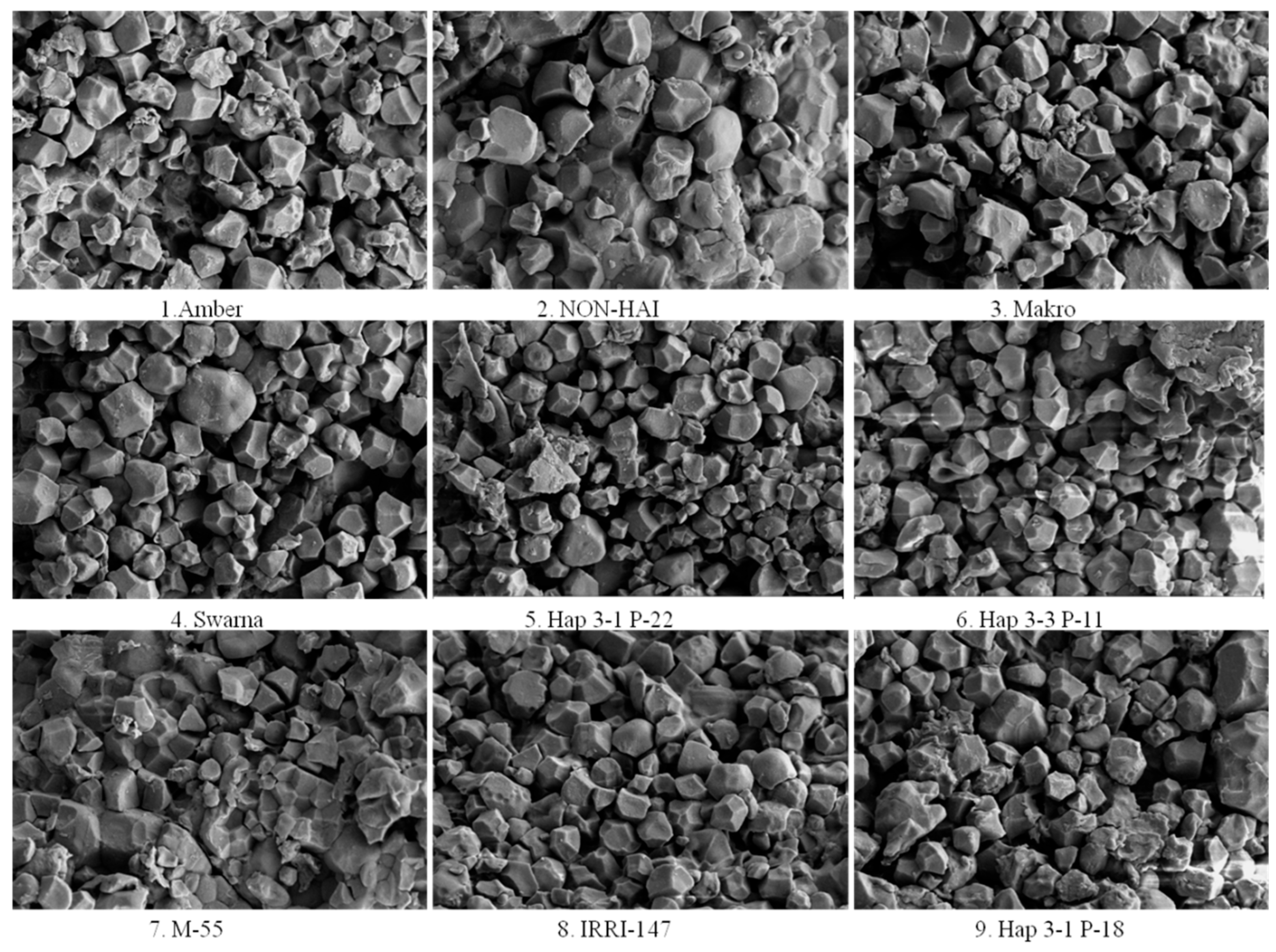 Processes 13 03241 g003