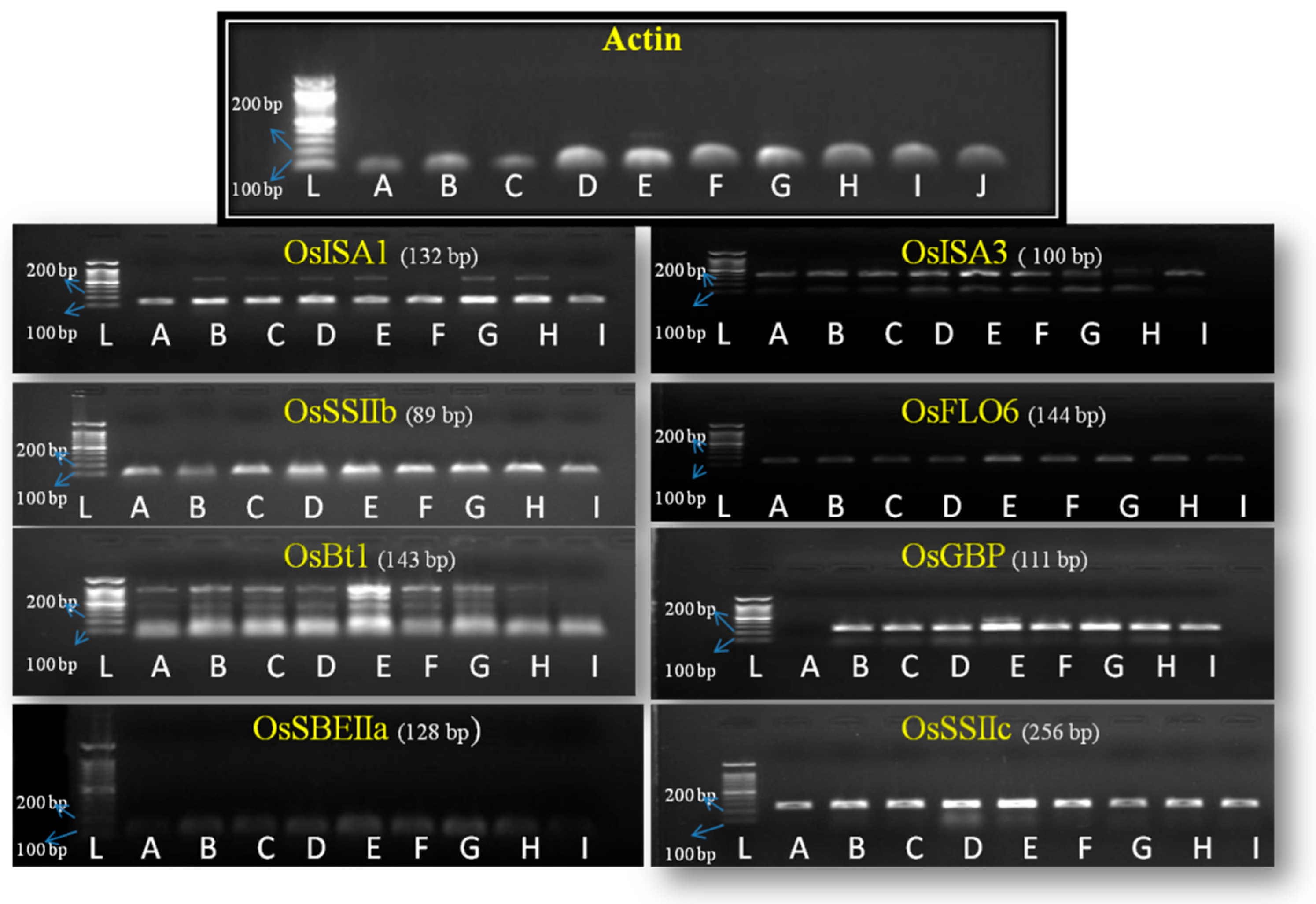 Processes 13 03241 g007