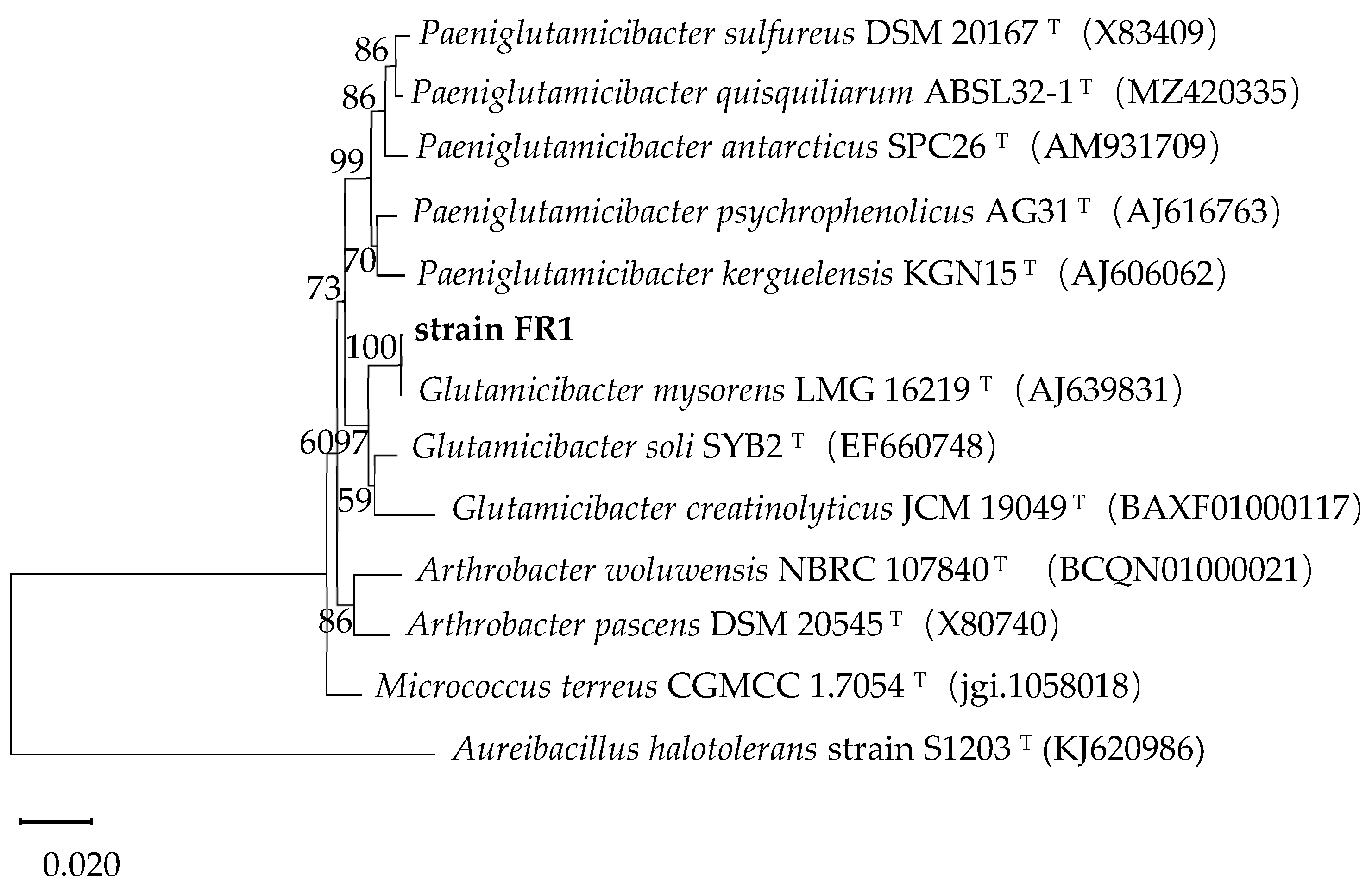 Processes 13 03245 g001