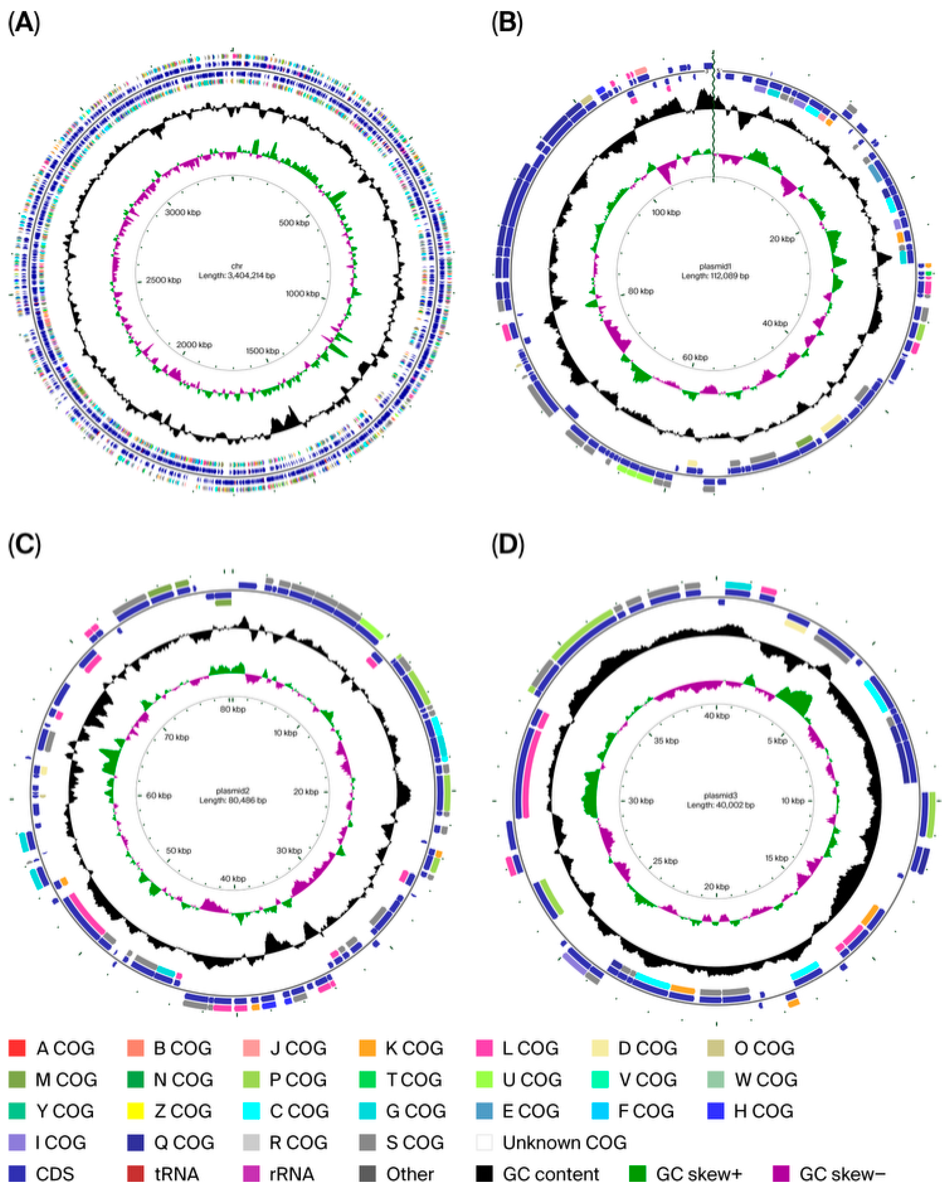 Processes 13 03245 g003
